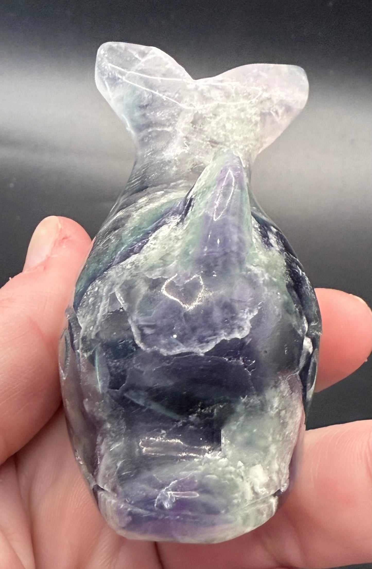 Rainbow Fluorite Dolphin Carving ā 172g | 8.6 x 4.7cm