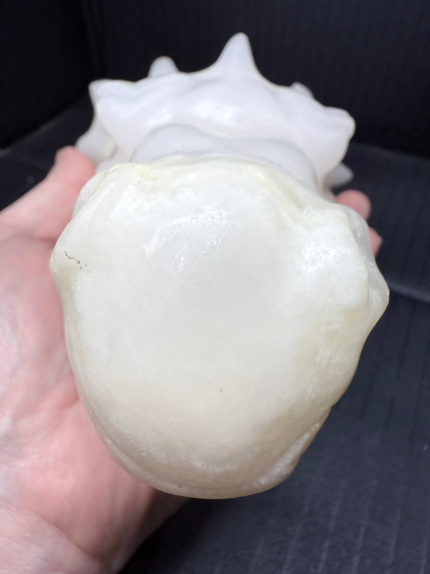 Afghanistan Jade Dragon Head