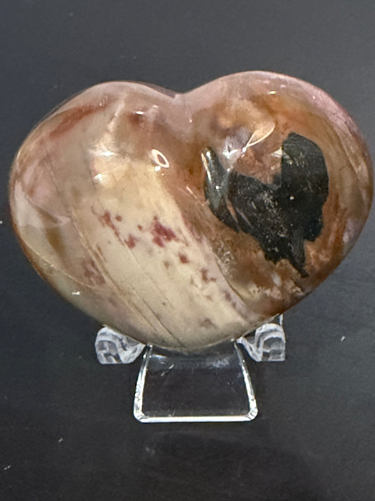Petrified Wood Heart 🤎 B