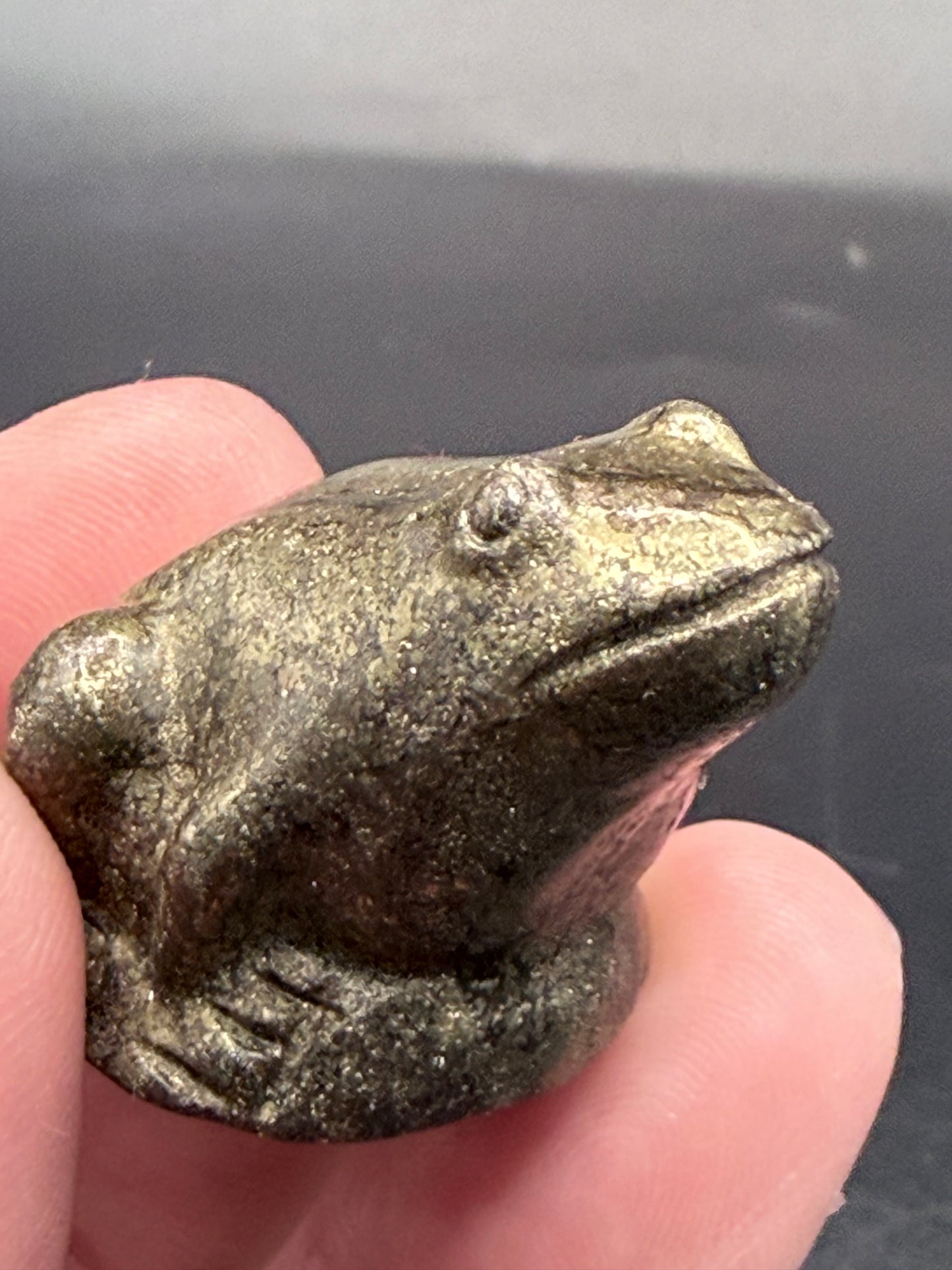 Pyrite Frog