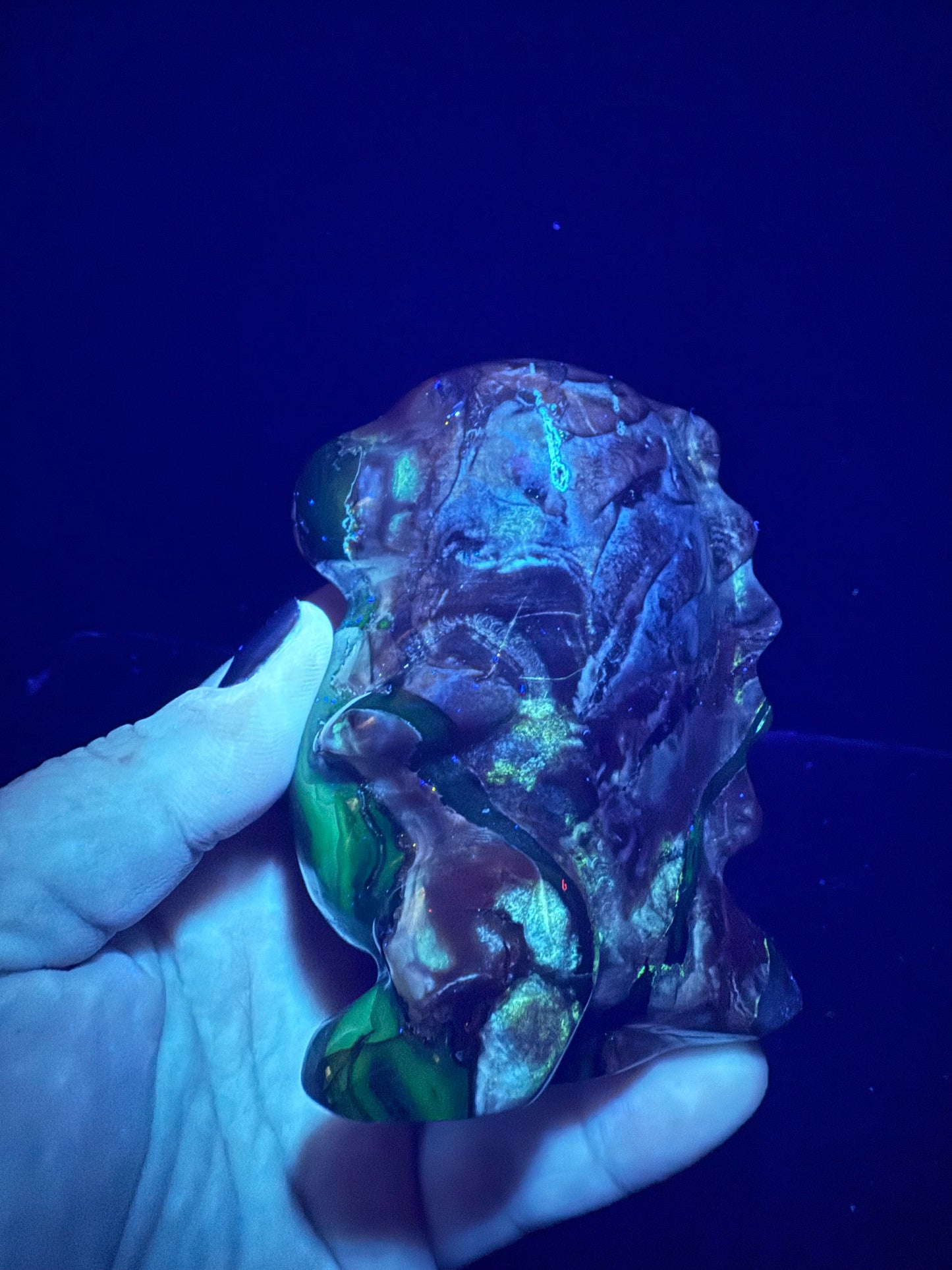 Volcano Agate T-Rex Dino