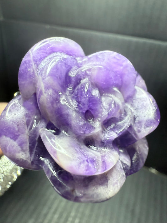 Dream Amethyst long stem Rose