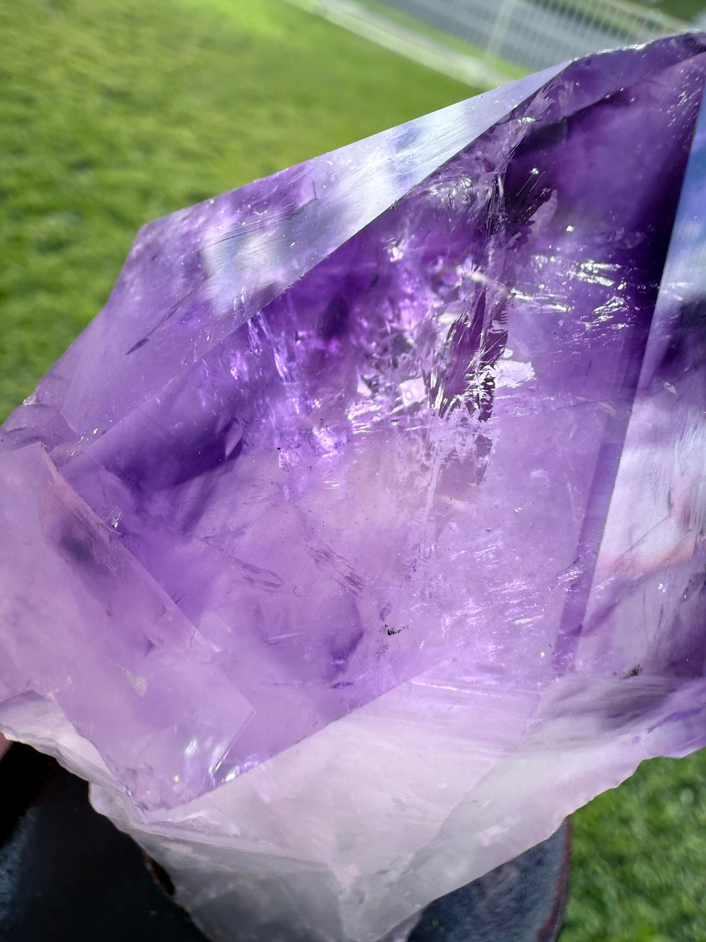 Amethyst Tooth with Custom made stand