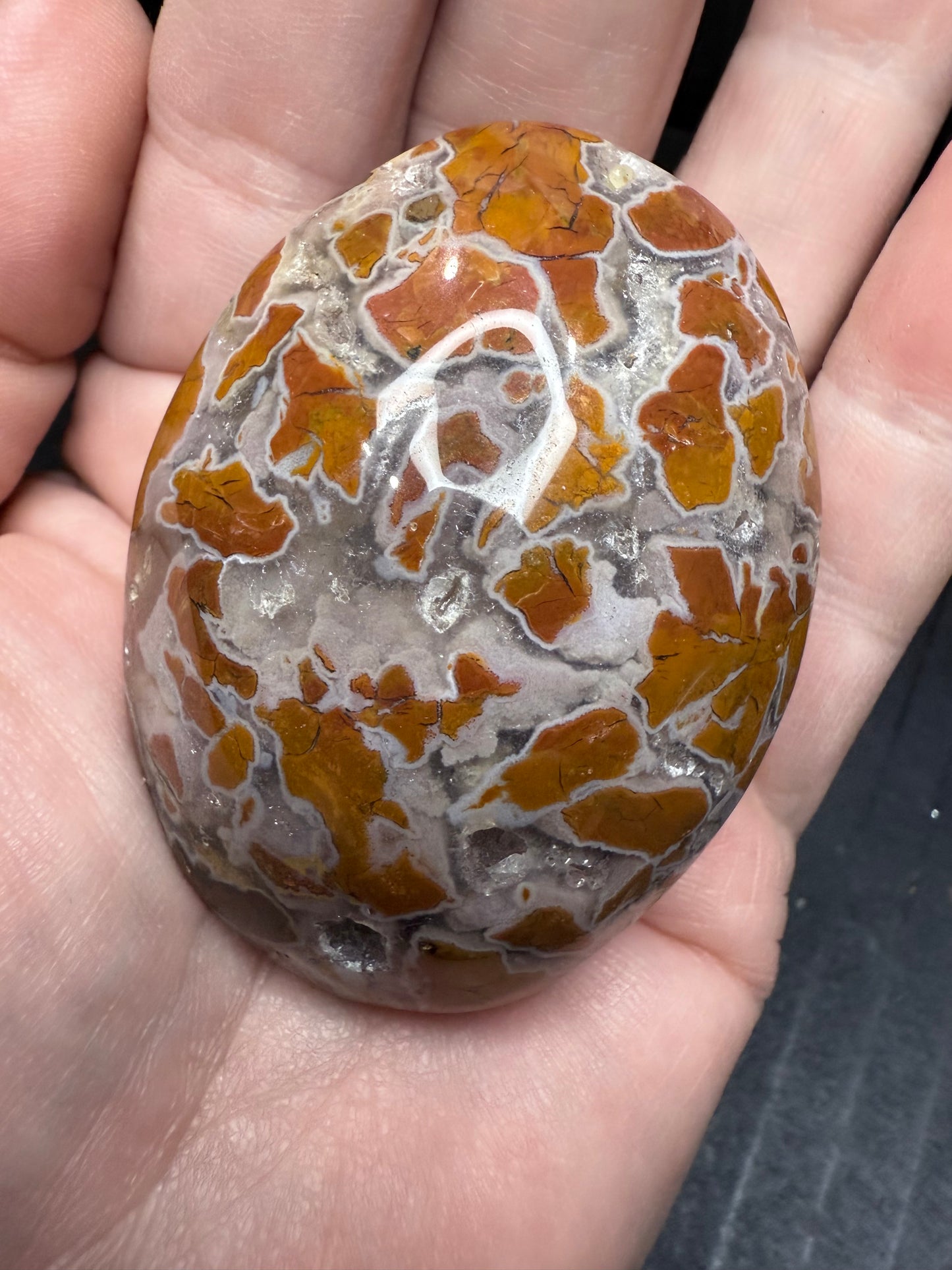 Indonesian Agate Palm stone
