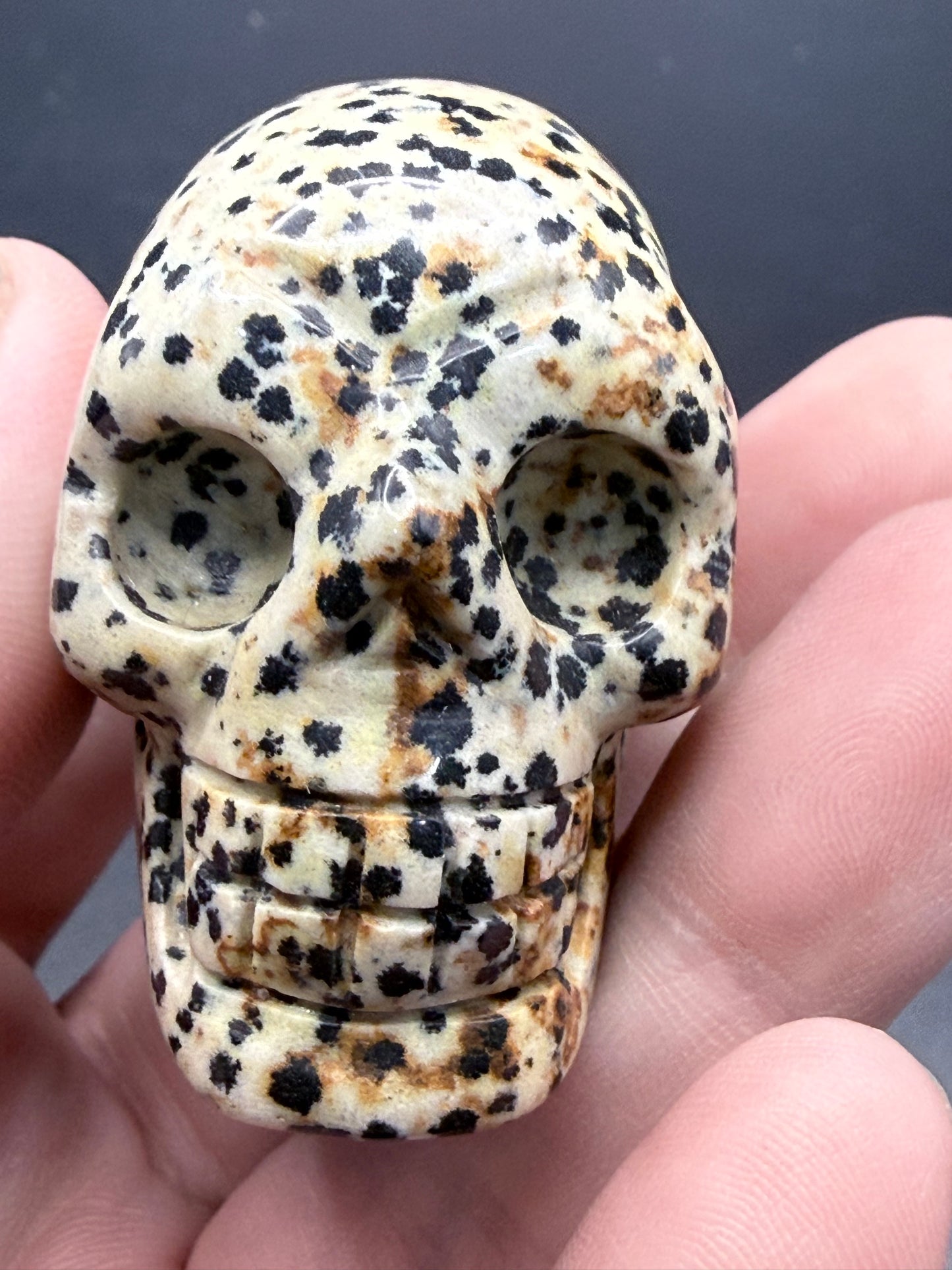 Dalmatian Jasper Skull Carving β 5cm
