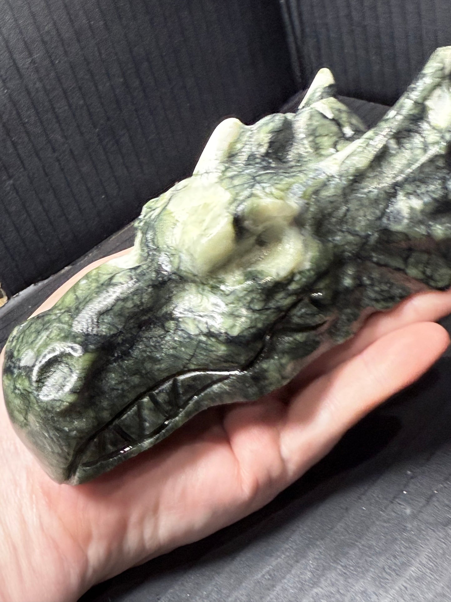 Dragon Head