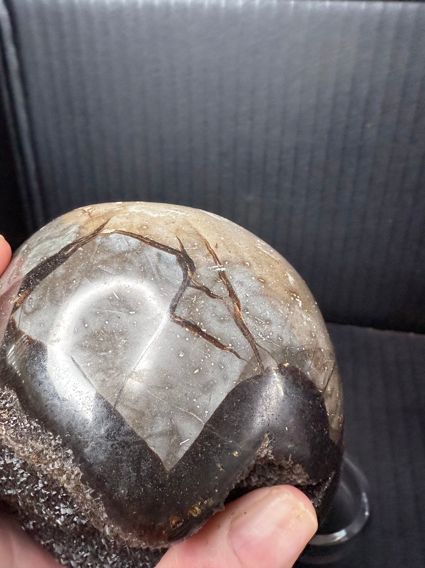 Septarian/dino Egg
