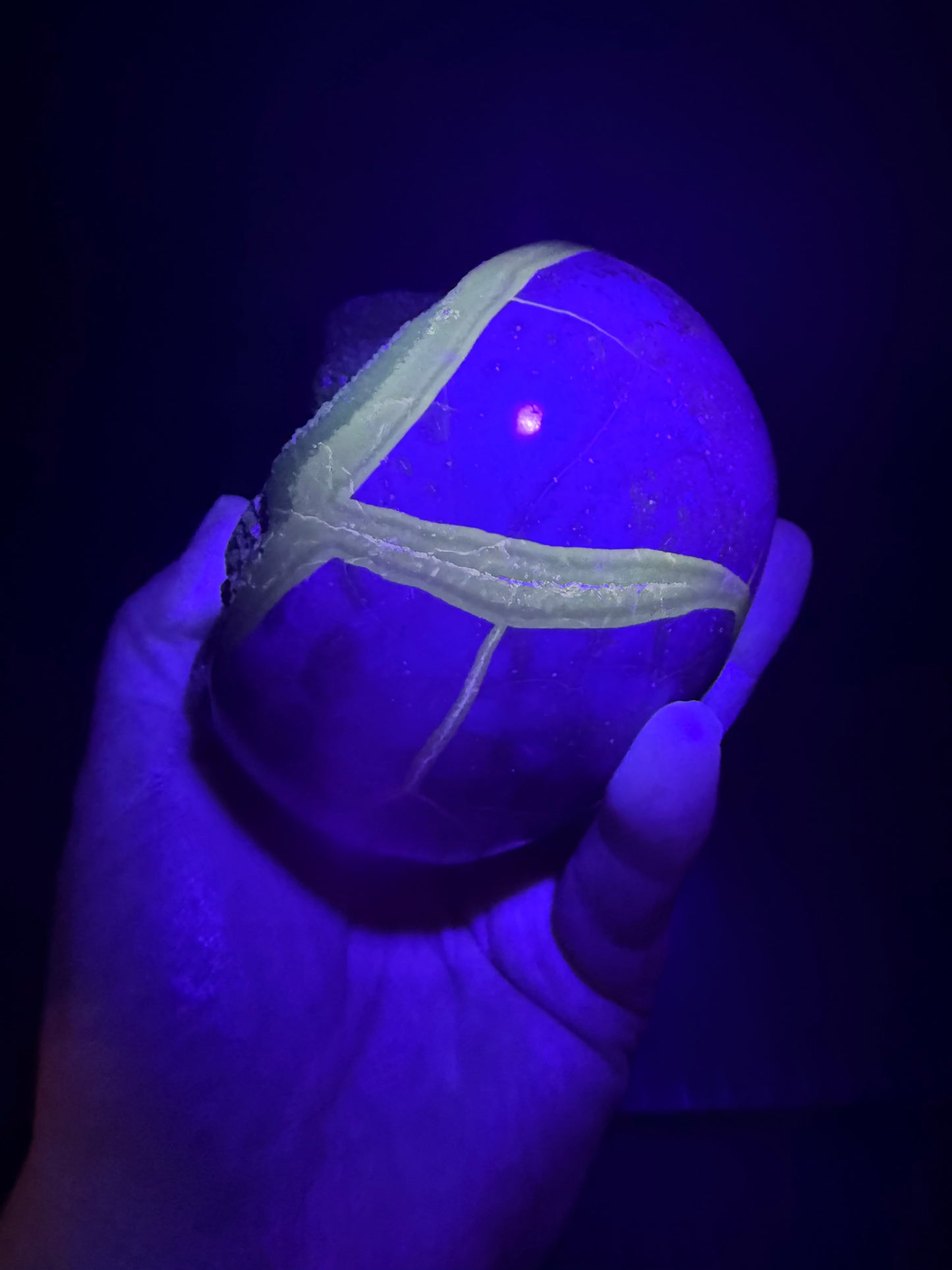 Septarian/dino Egg