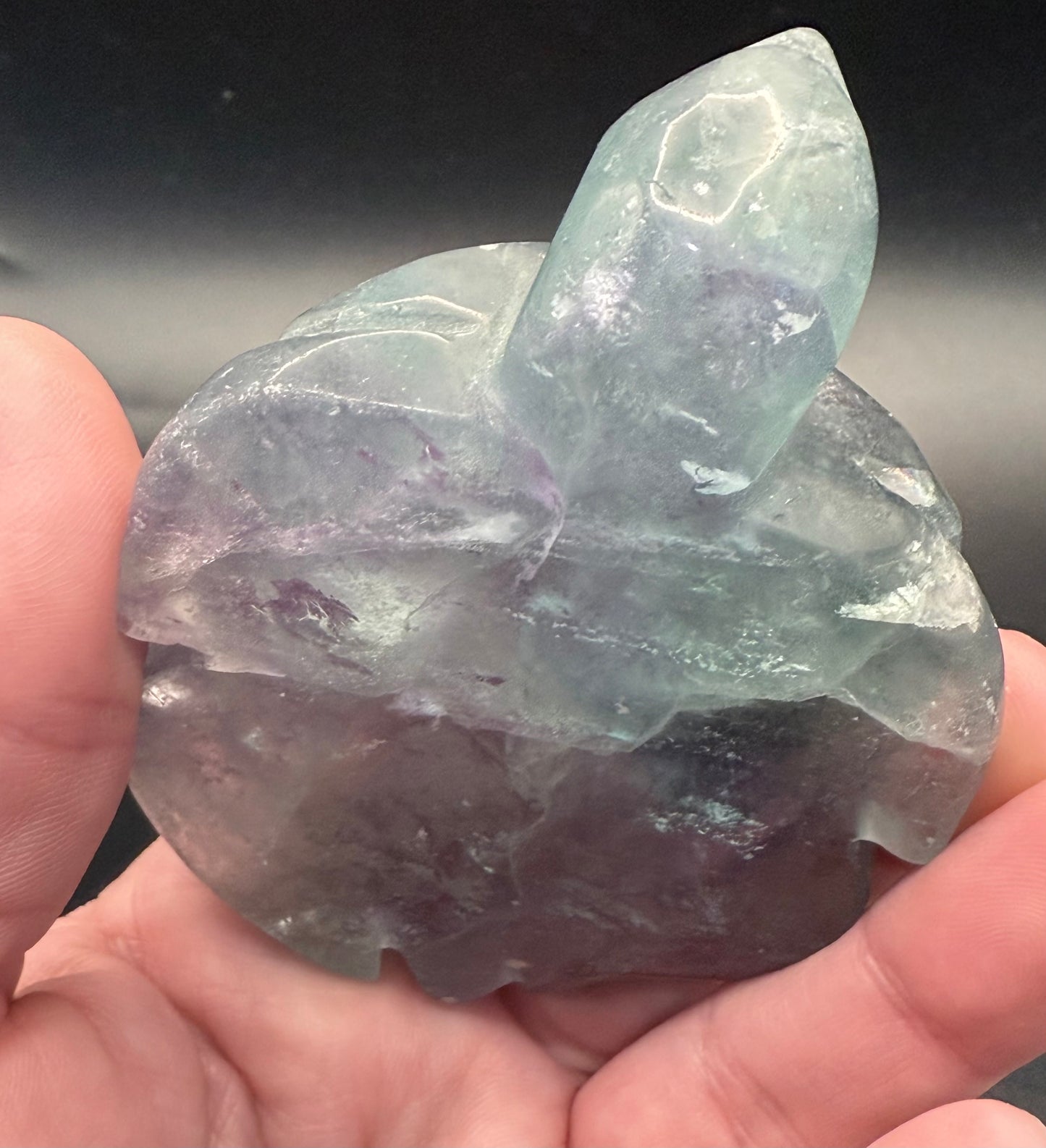 Aqua Fluorite Turtle Carving β 230g | 8.5 Γ 6.5cm