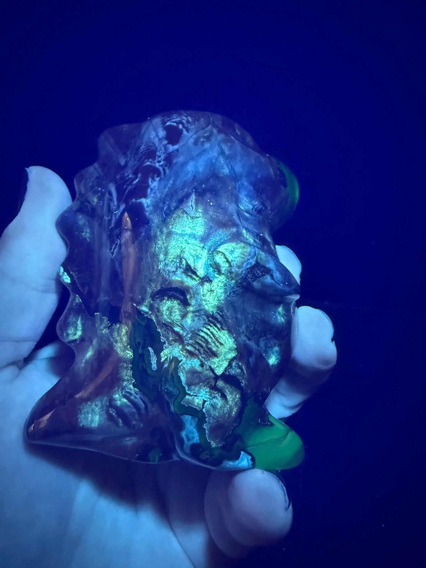 Volcano Agate T-Rex Dino