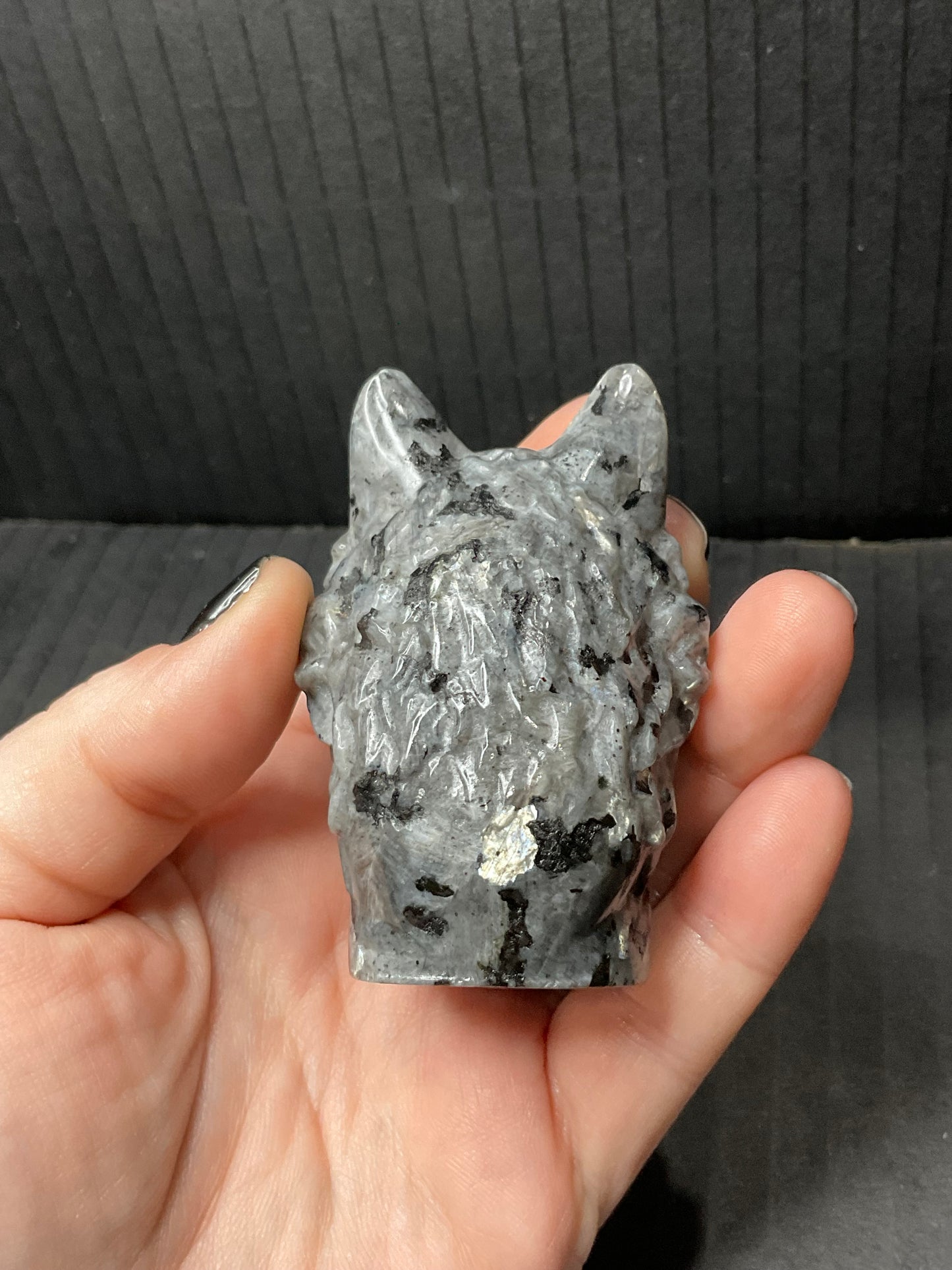 Larvikite Wolf Head