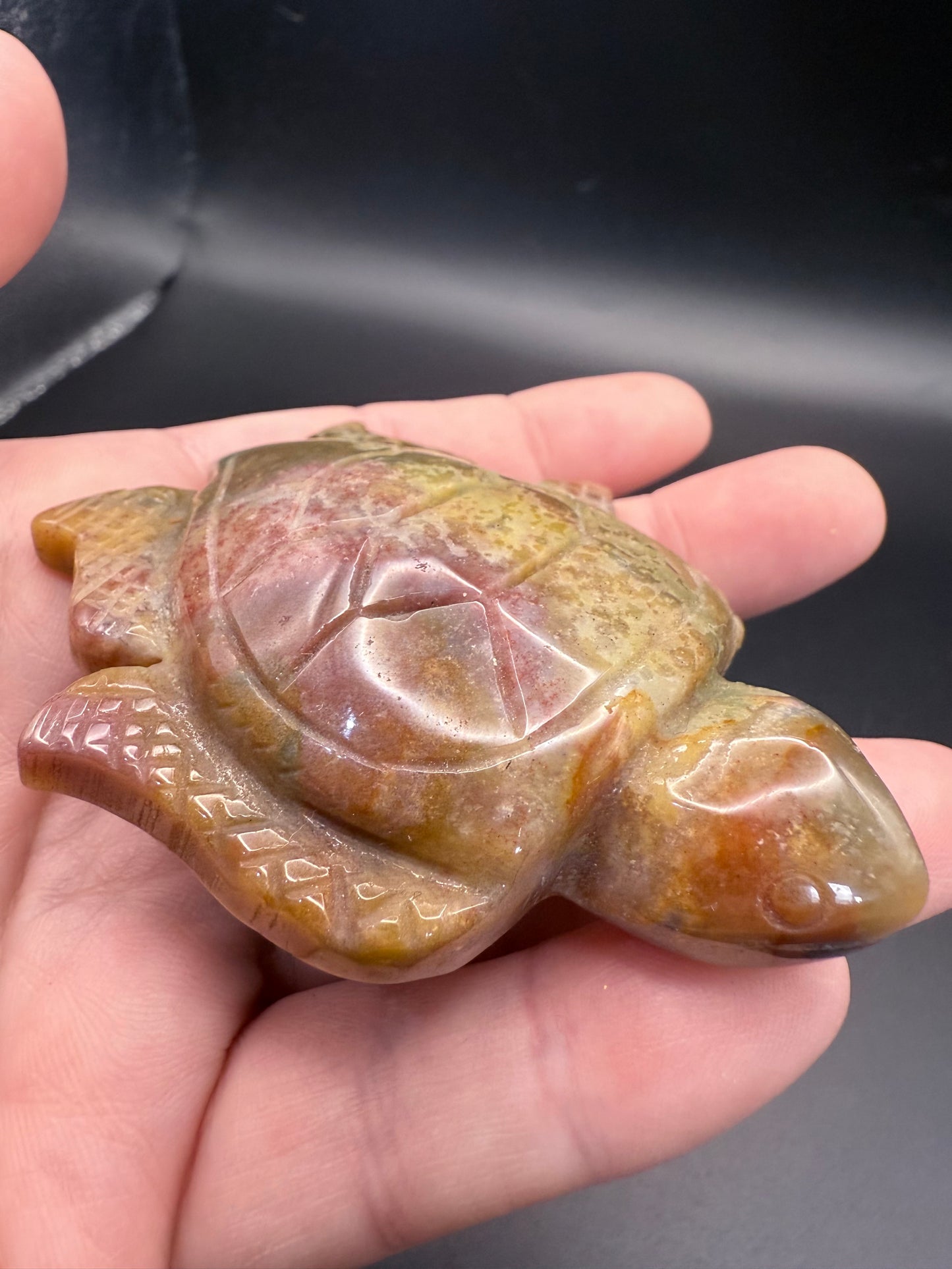 Ocean Jasper Turtle