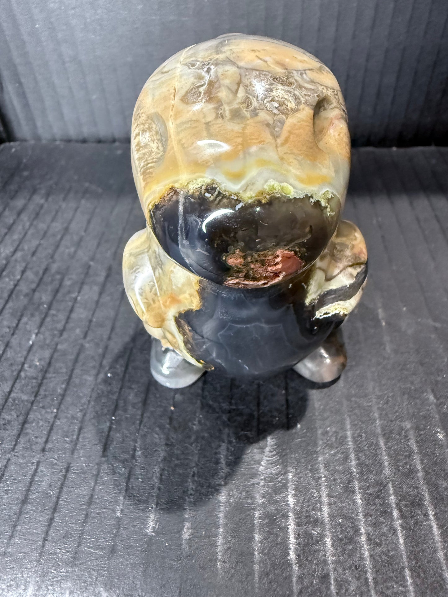 Volcano Agate T-Rex Dino