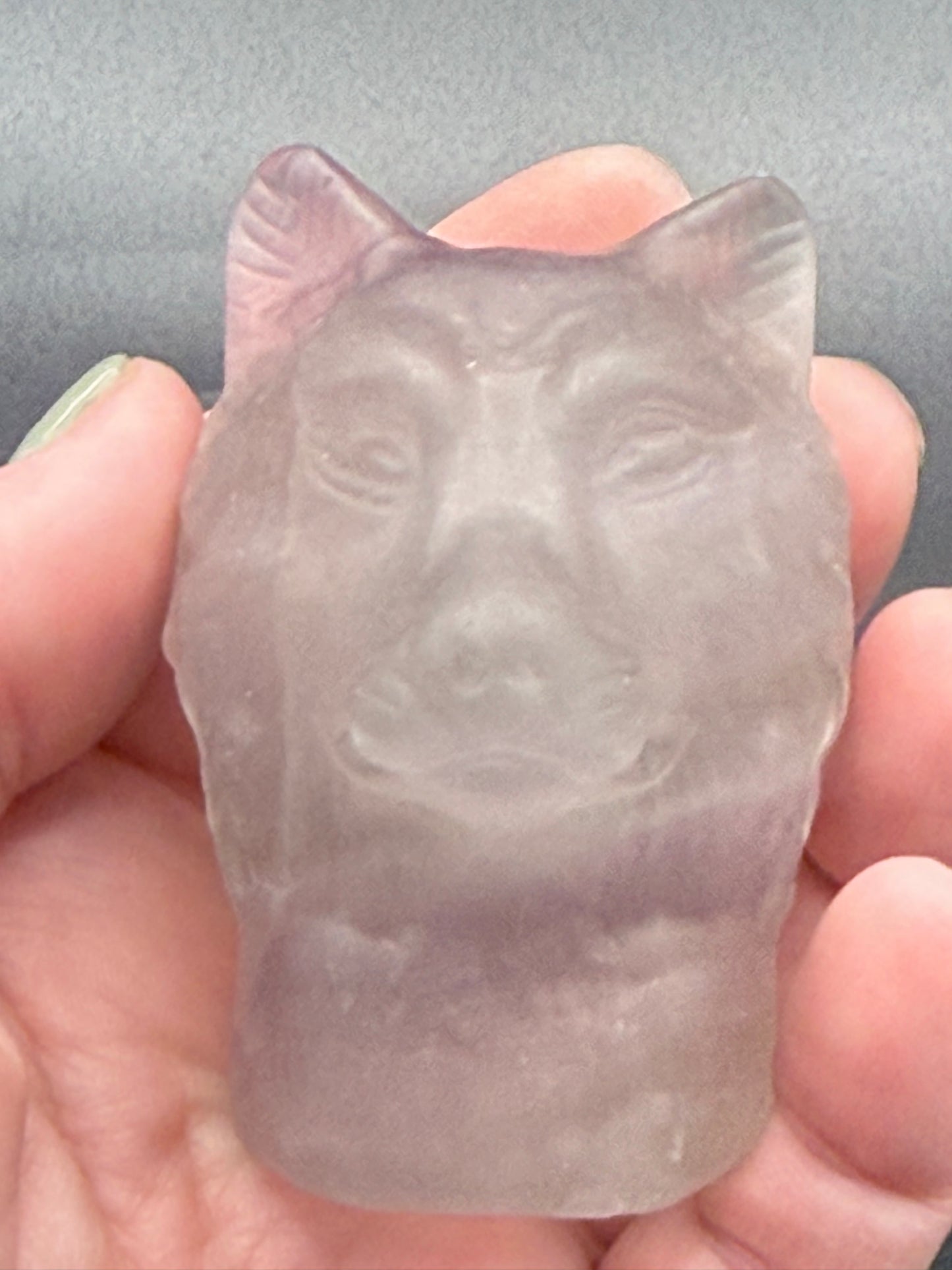 Rainbow Fluorite wolf Head