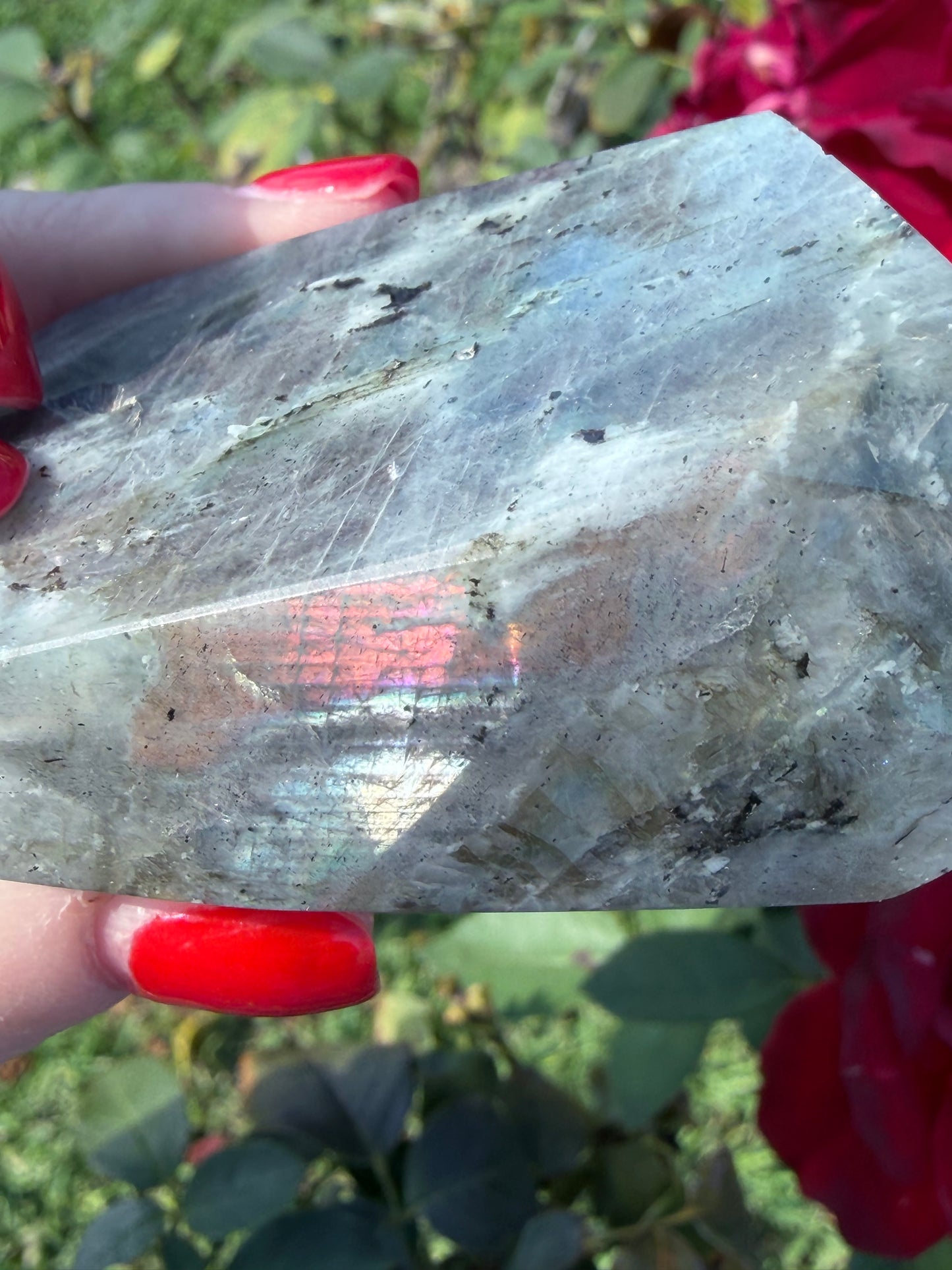 Labradorite Crystal Freeform – Rainbow Flash | 159g E