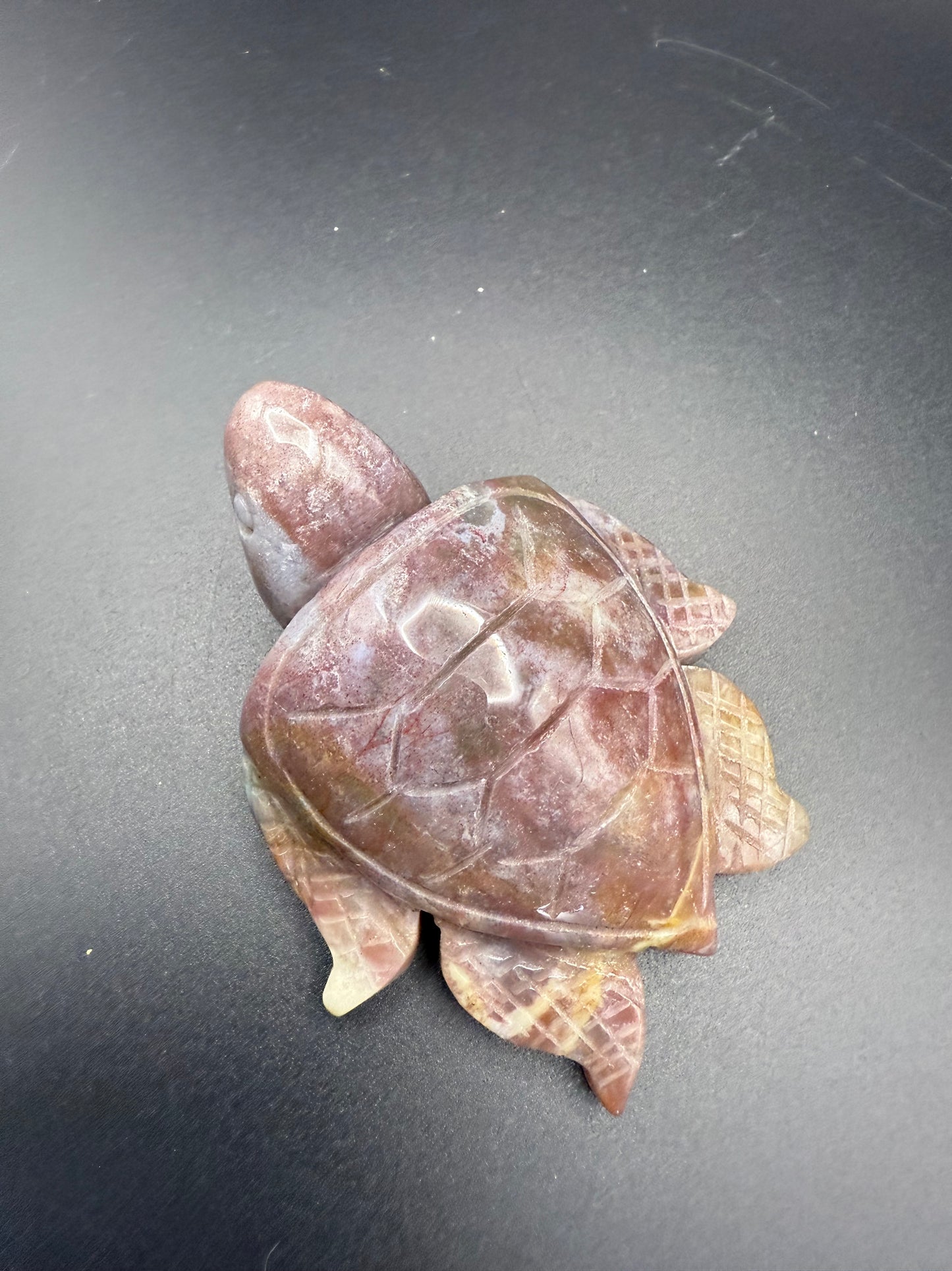 Ocean Jasper Turtle