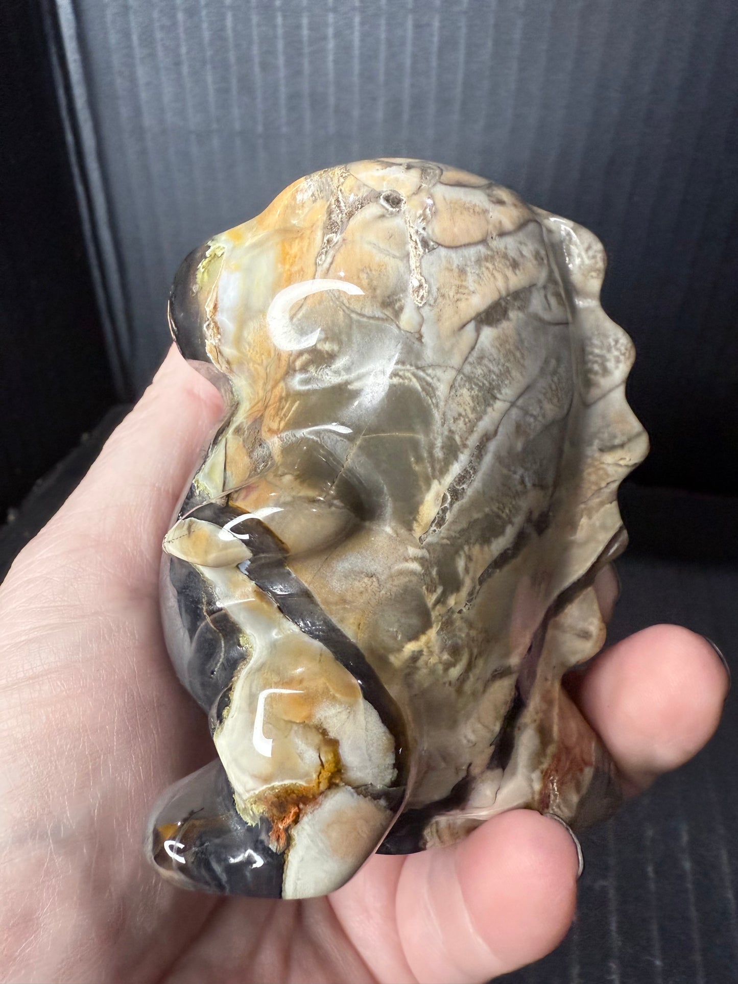 Volcano Agate T-Rex Dino
