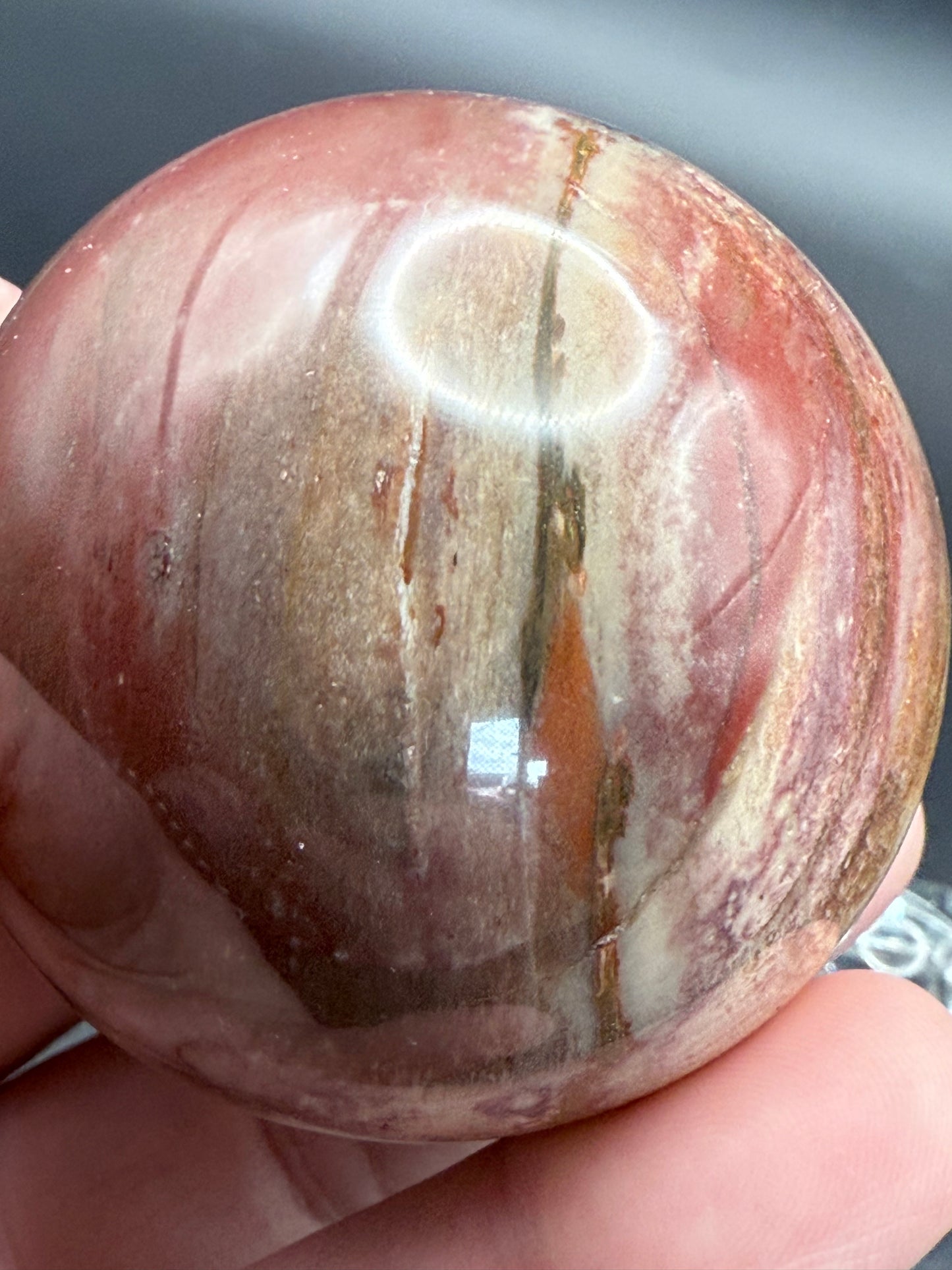 Petrified Wood Sphere