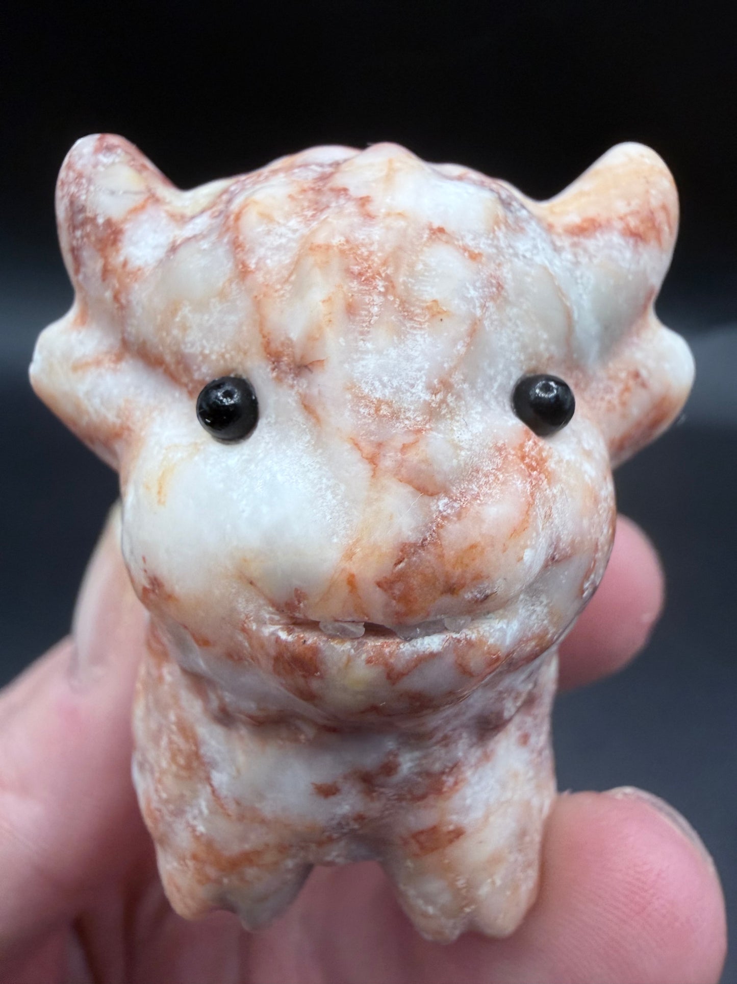 Red Vein Highland Cow