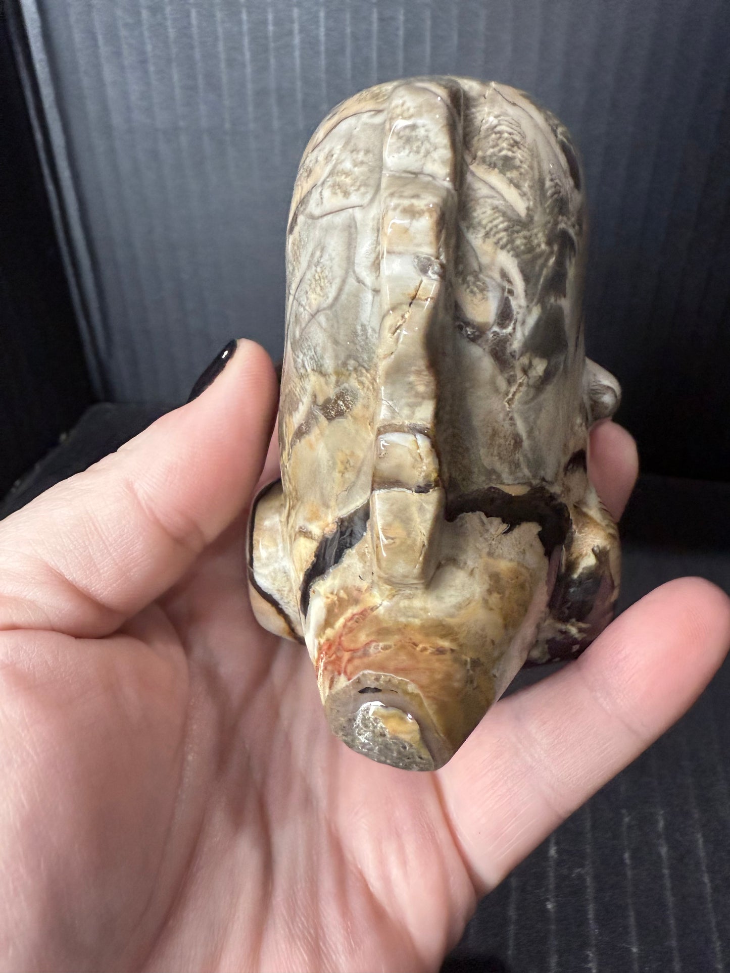 Volcano Agate T-Rex Dino