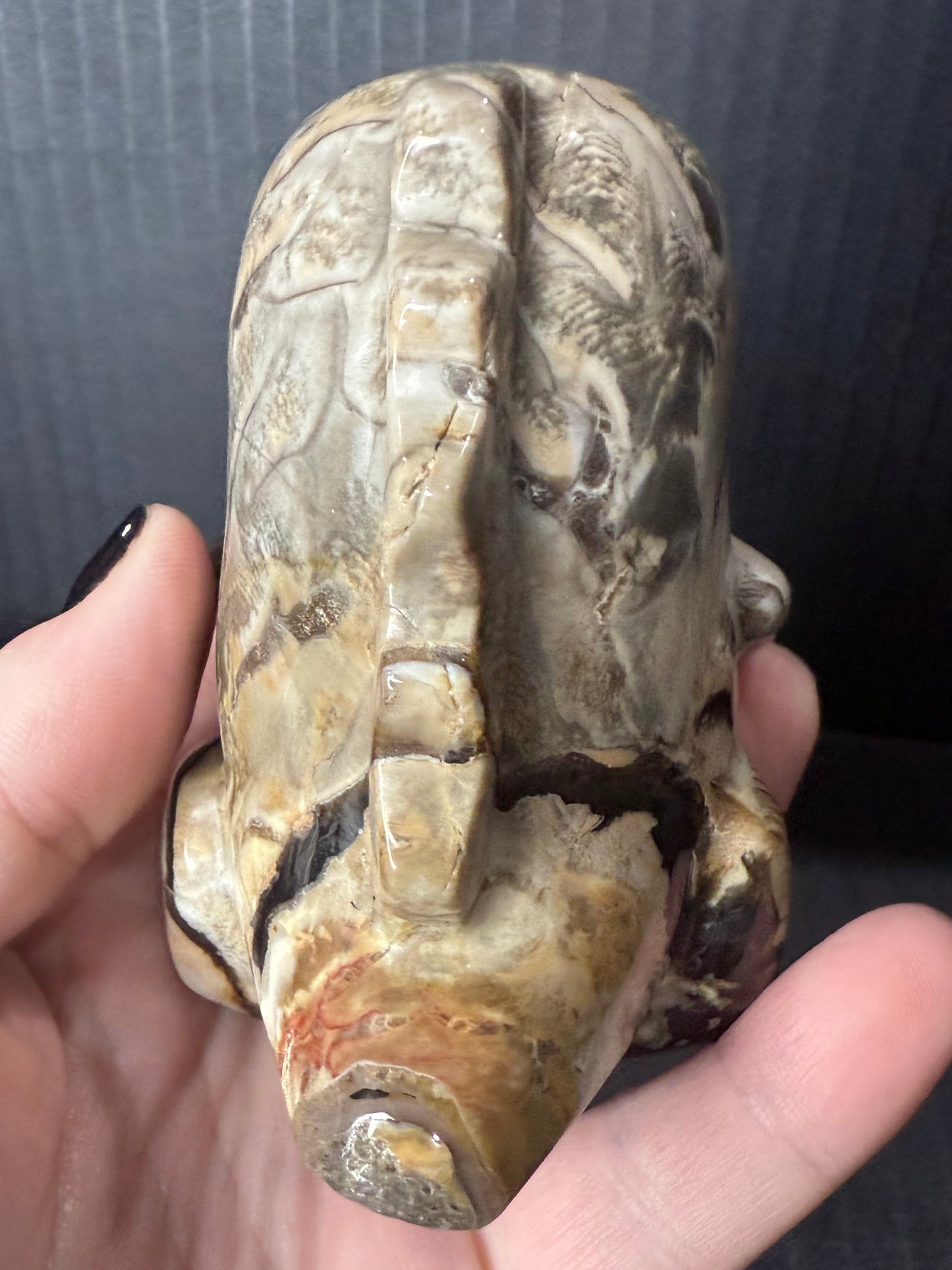 Volcano Agate T-Rex Dino | 365g | 8.5 × 6cm | Druzy Nose