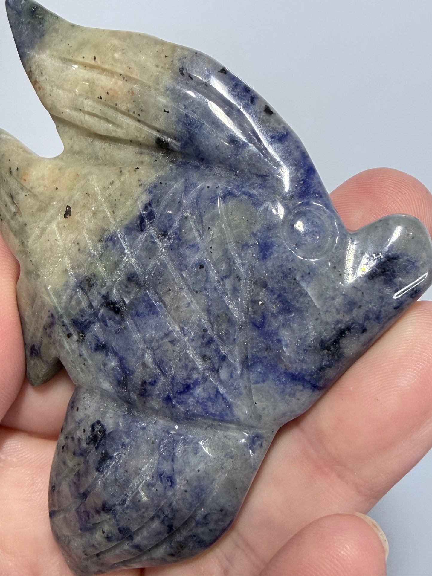 Sodalite Fish Carving with Display Stand | 70g | 9 x 6.5cm