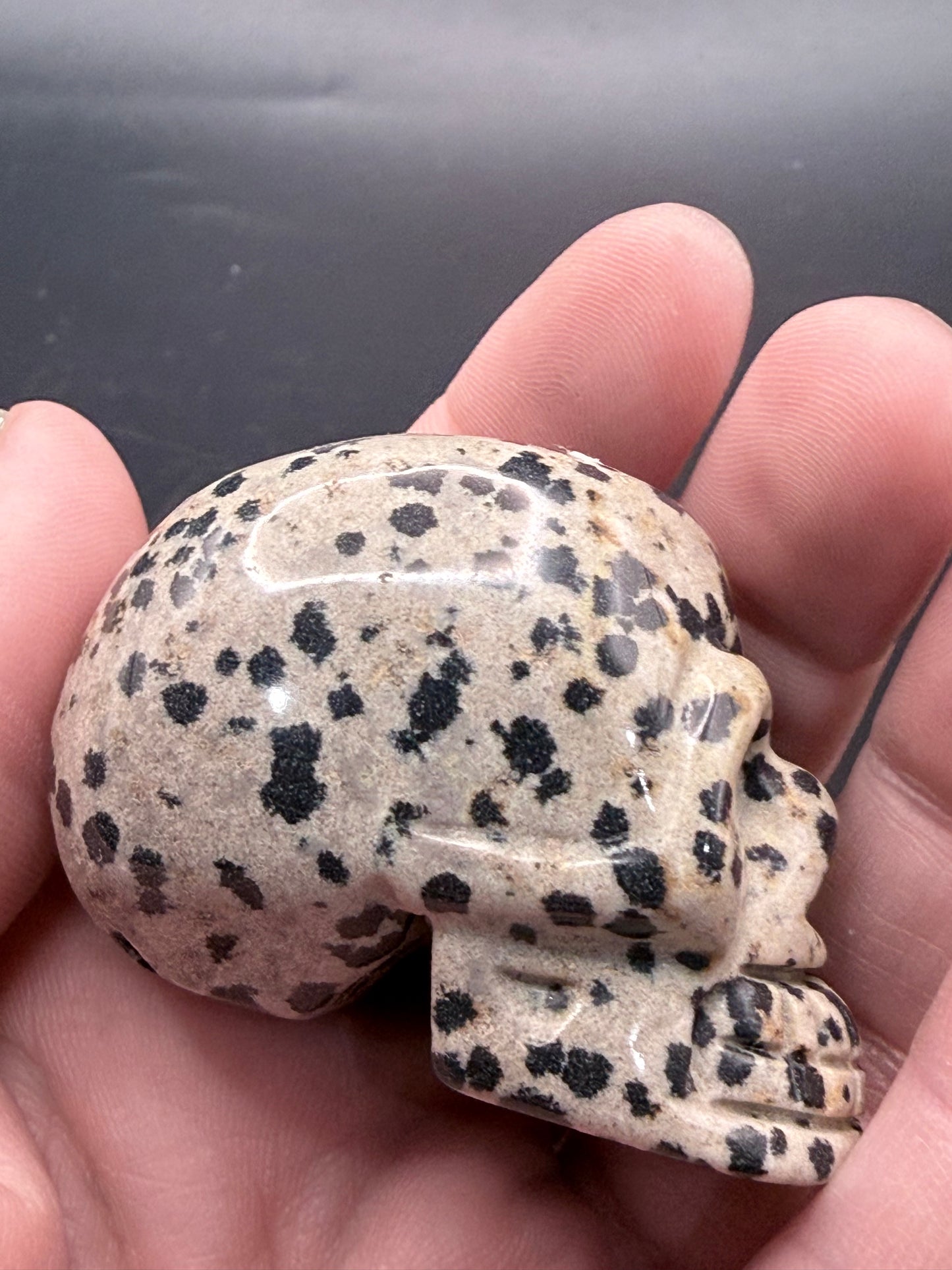 Dalmatian Jasper Skull Carving β 5cm