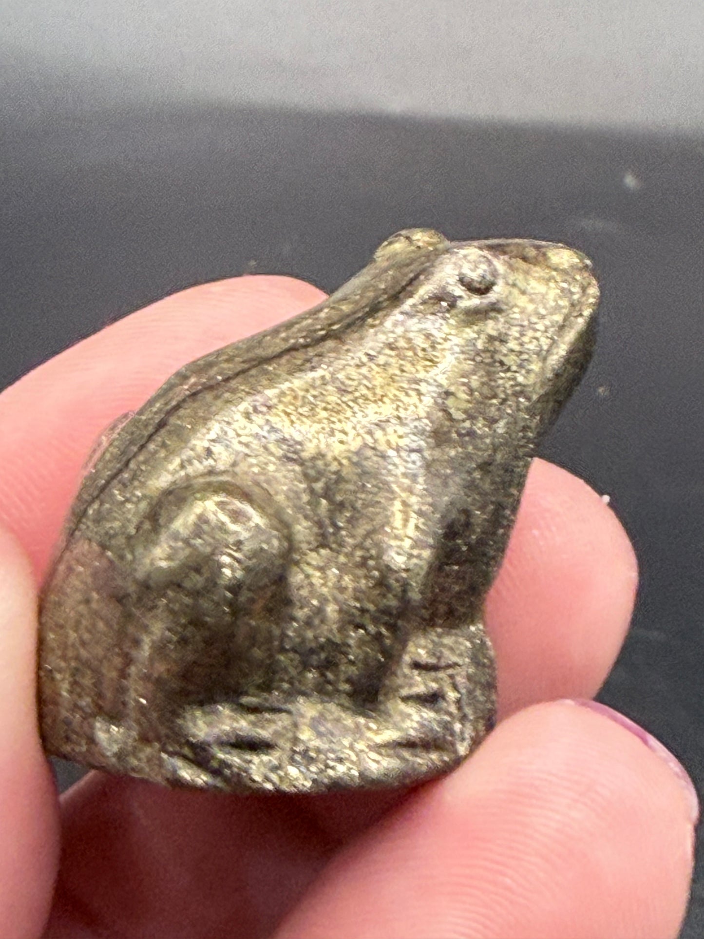Pyrite Frog