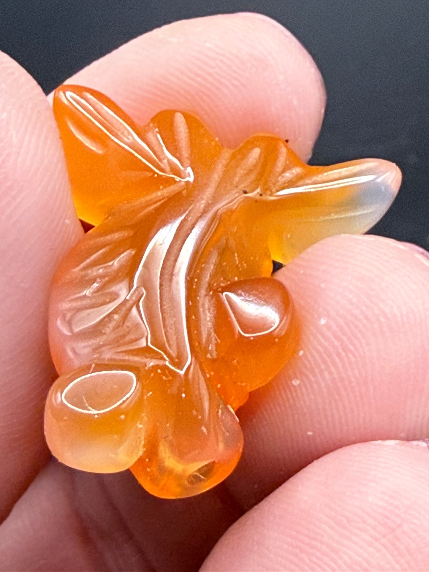 Carnelian & Fluorite Crystal Goldfish