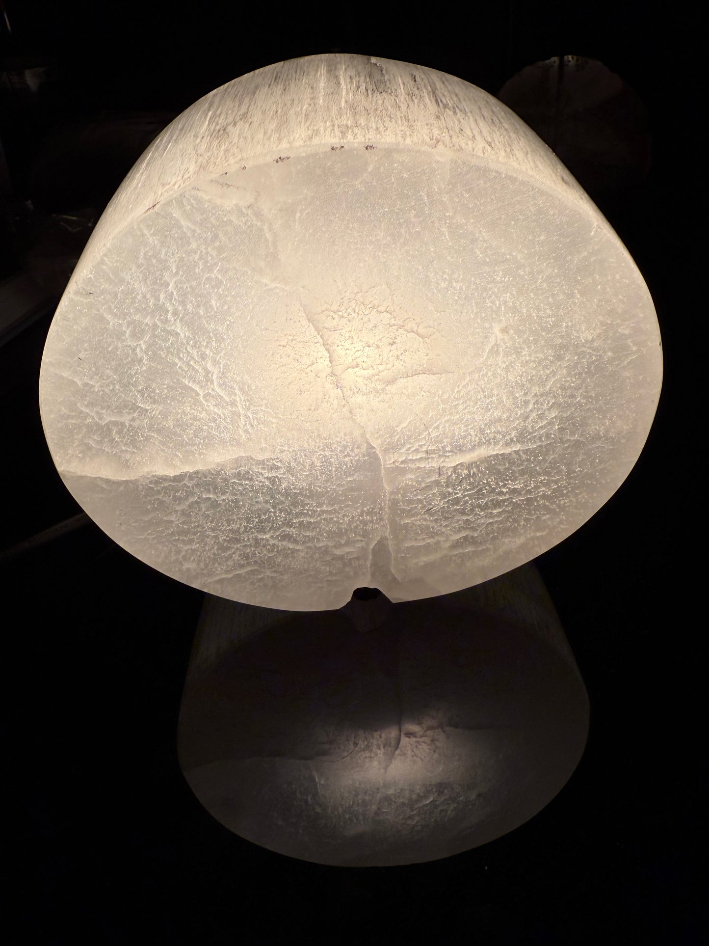 Selenite Tree of Life Lamp