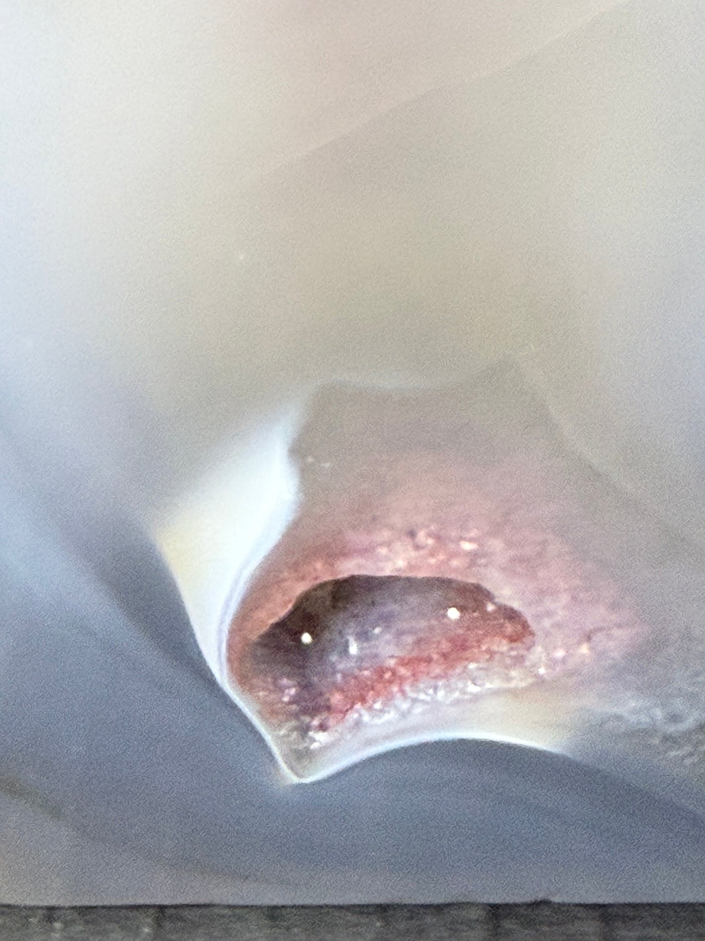 Black Agate Tower (13.5cm | 240g)