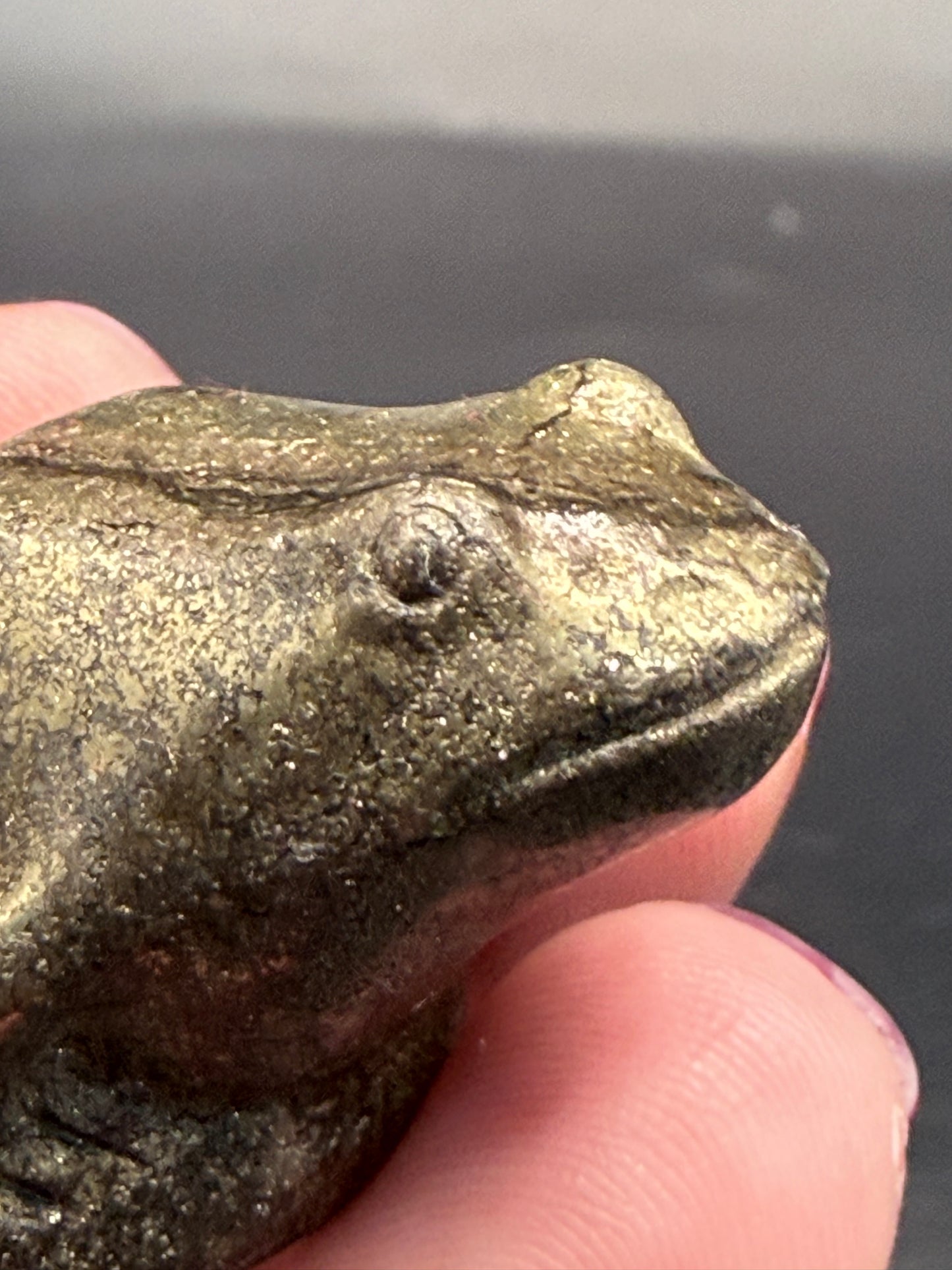 Pyrite Frog