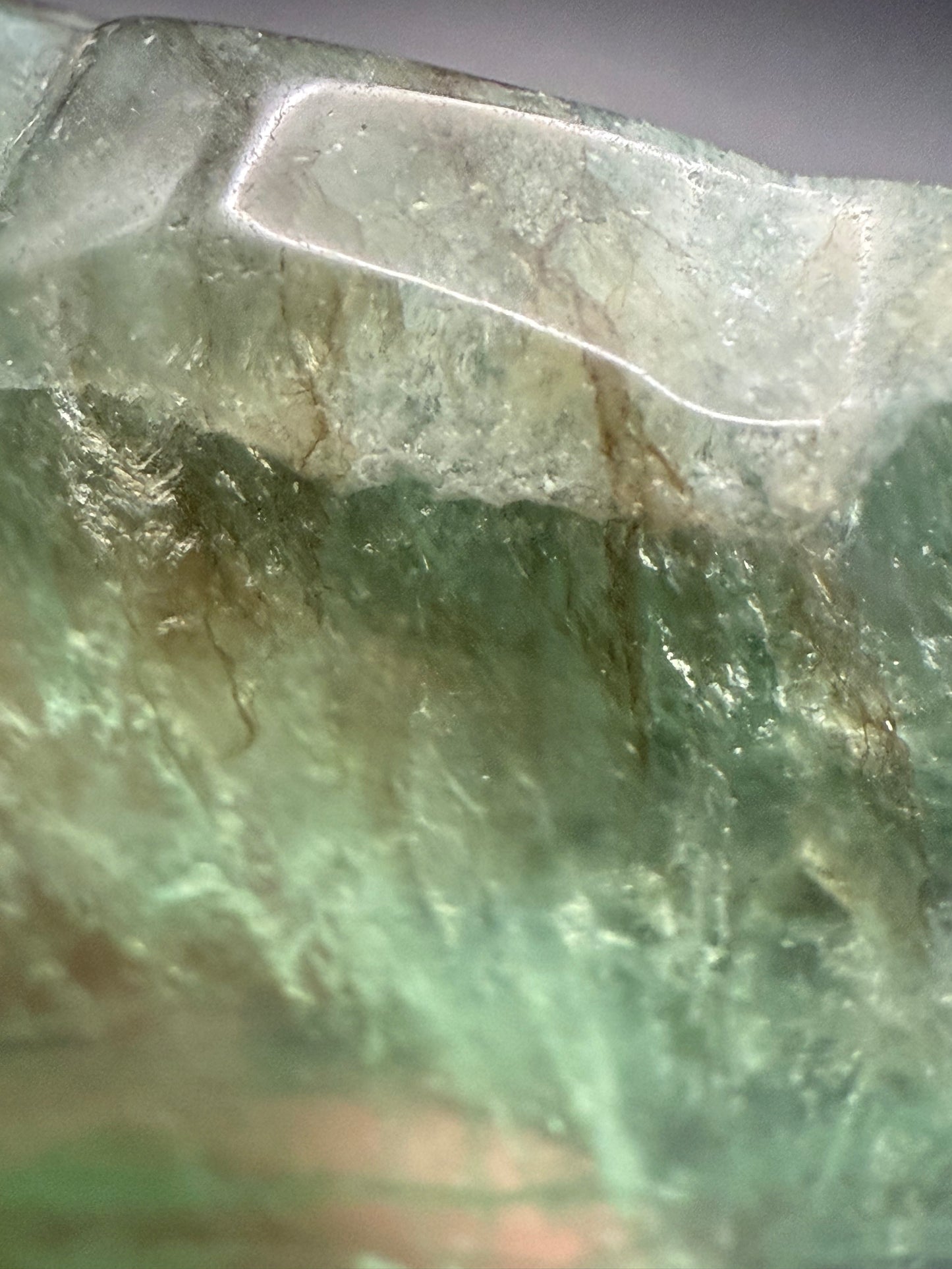Fluorite Turtle Carving with Dendritic Inclusions