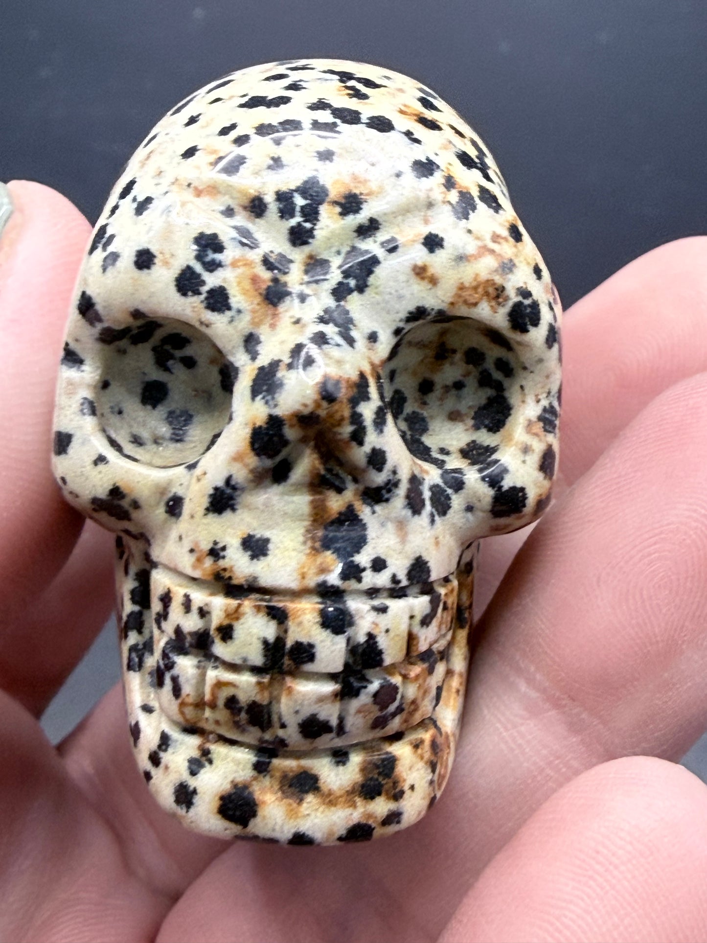 Dalmatian Jasper Skull Carving β 5cm