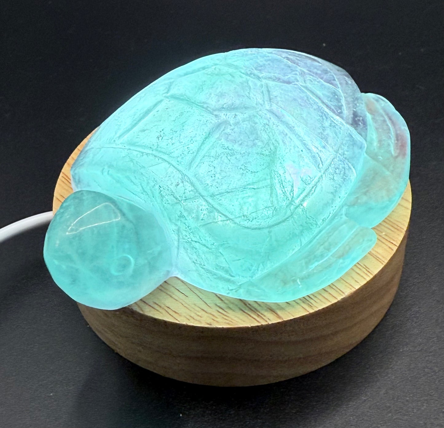 Aqua Fluorite Turtle Carving β 230g | 8.5 Γ 6.5cm