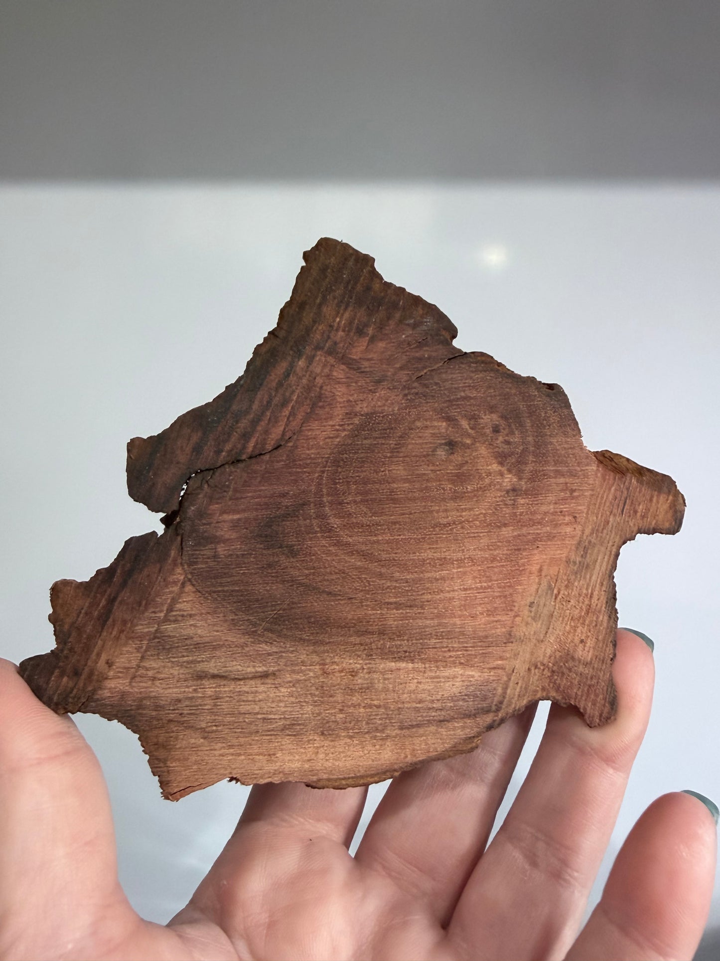 Natural Driftwood Sphere Stand A