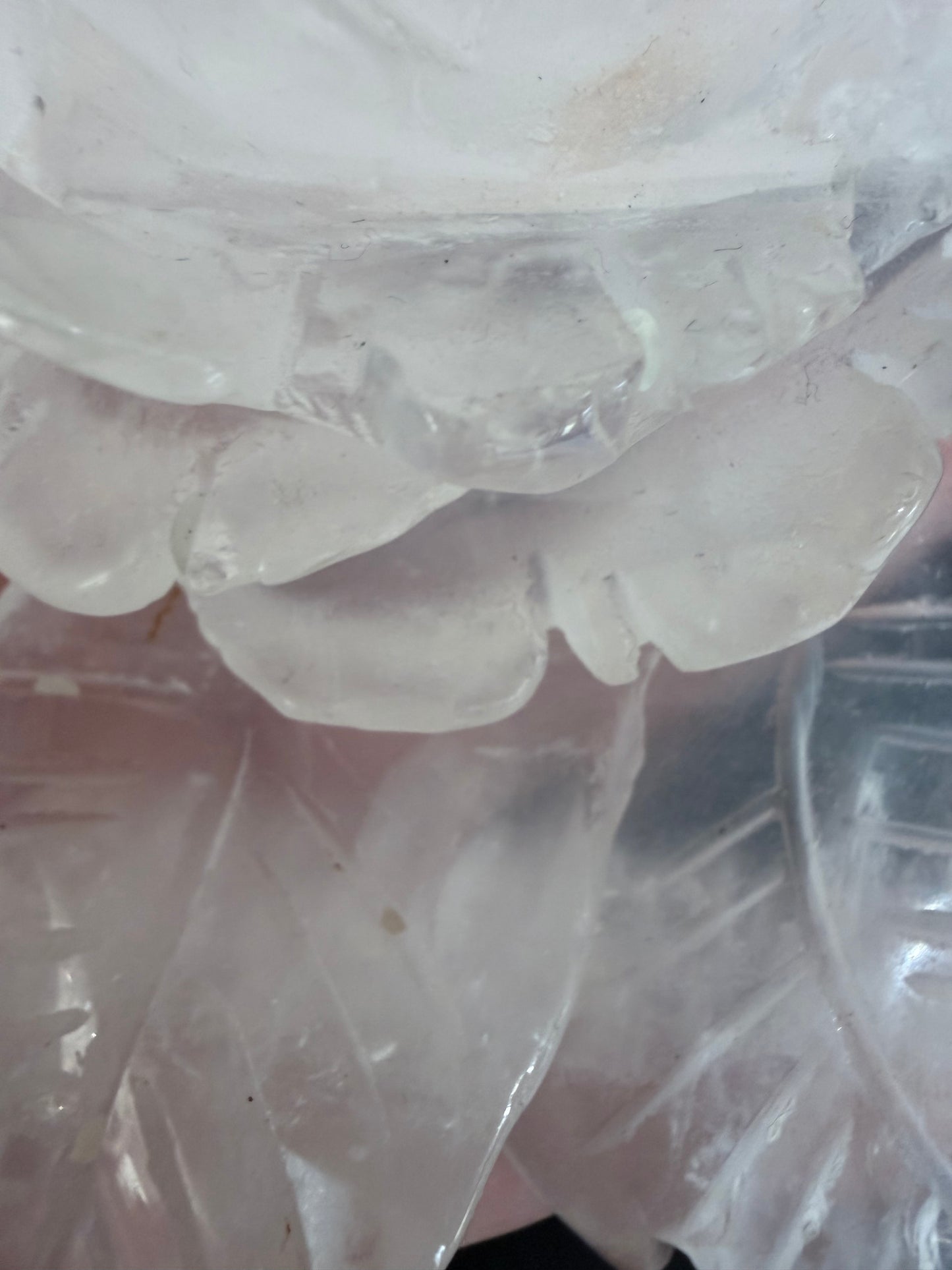 Rose Quartz Rose Carving with Light Base – 14.5 × 8.5 cm | 457g