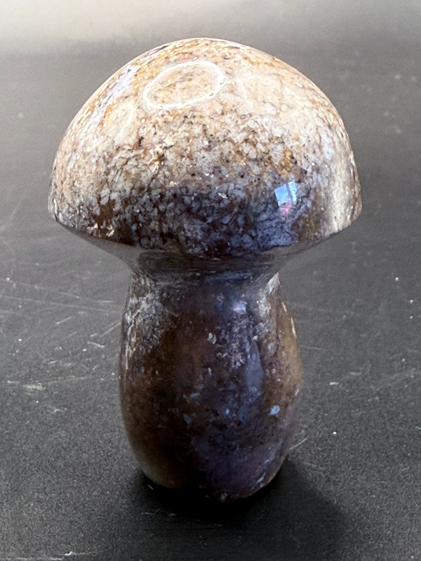Ocean Jasper Mushroom Carving
