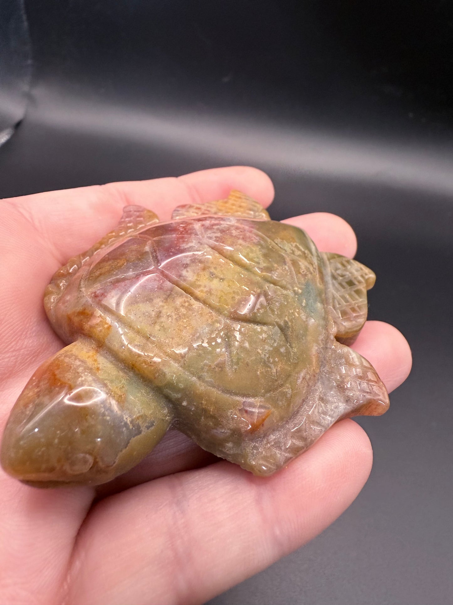 Ocean Jasper Turtle