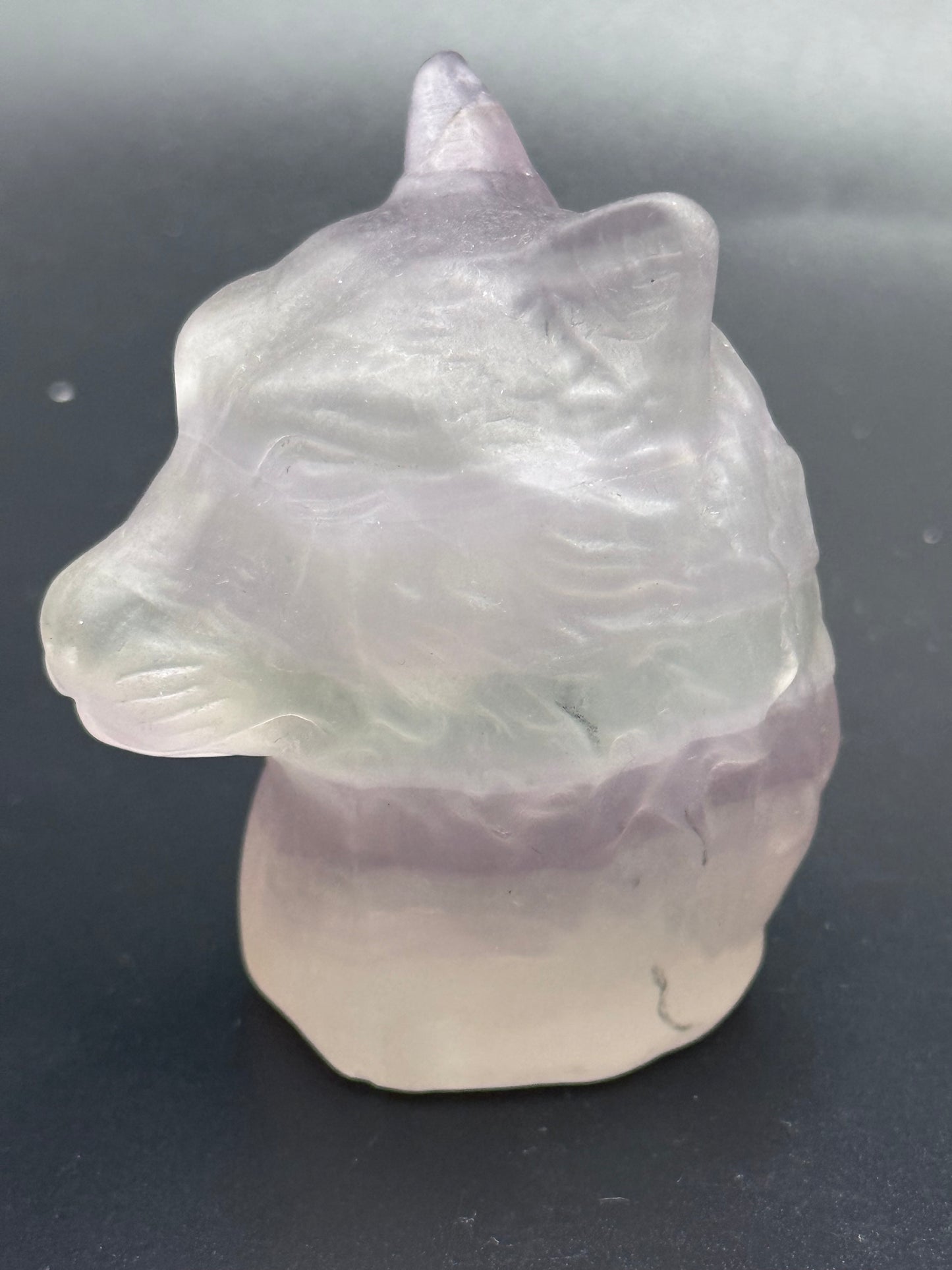 Rainbow Fluorite wolf Head