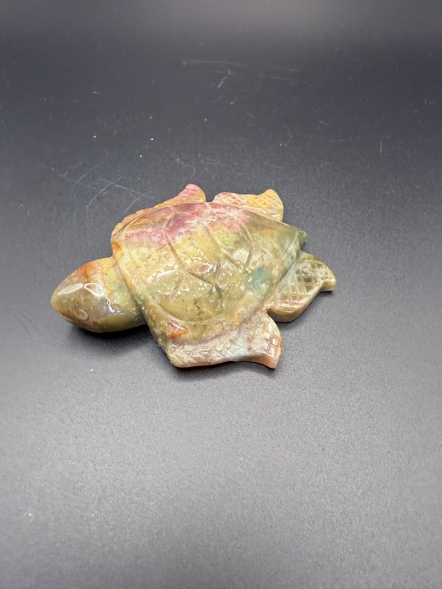 Ocean Jasper Turtle