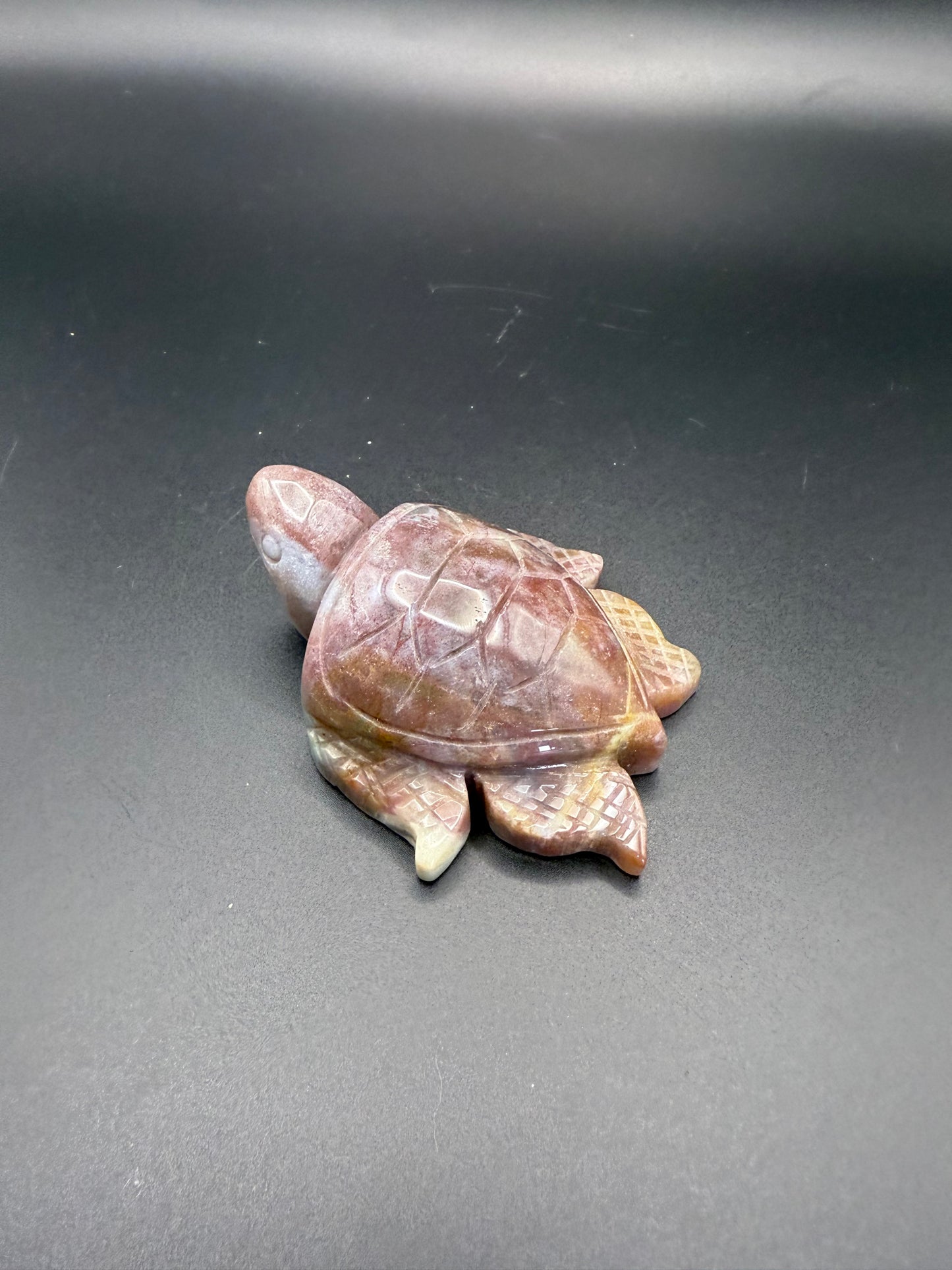 Ocean Jasper Turtle
