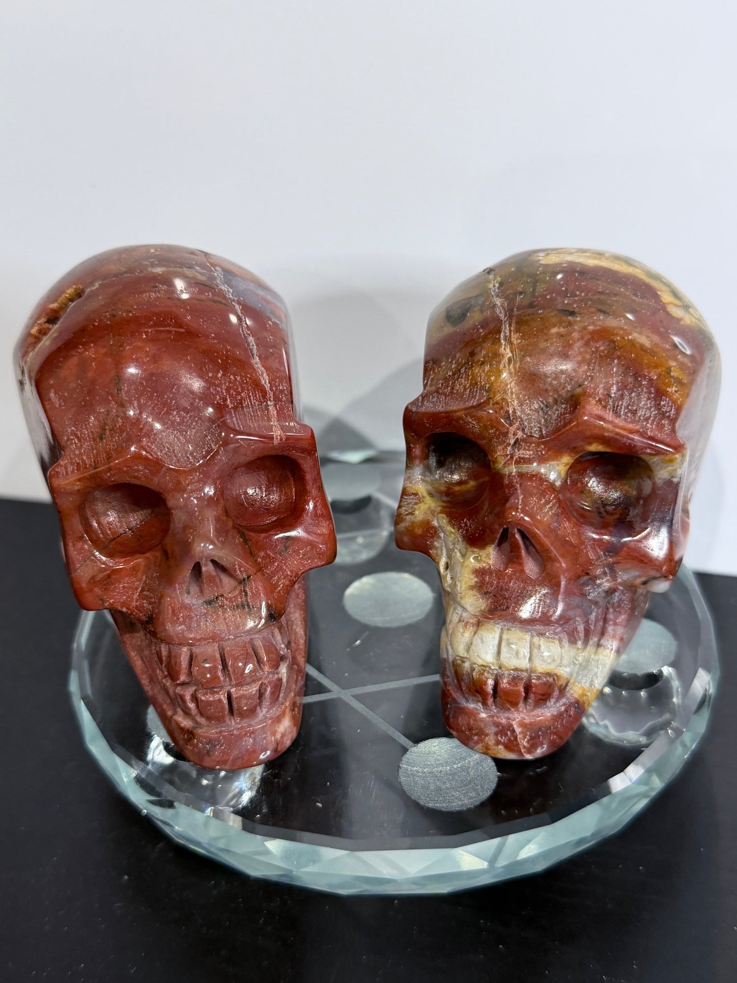 Petrified Wood Skull Crystal Carving – 364g (7 × 8 cm) A