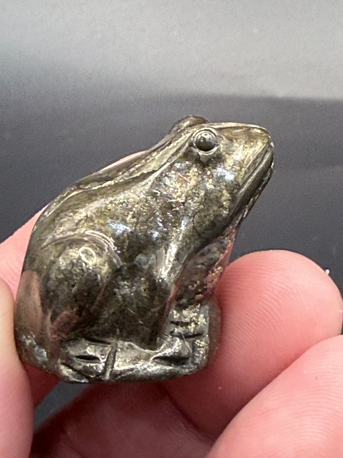 Pyrite Frog