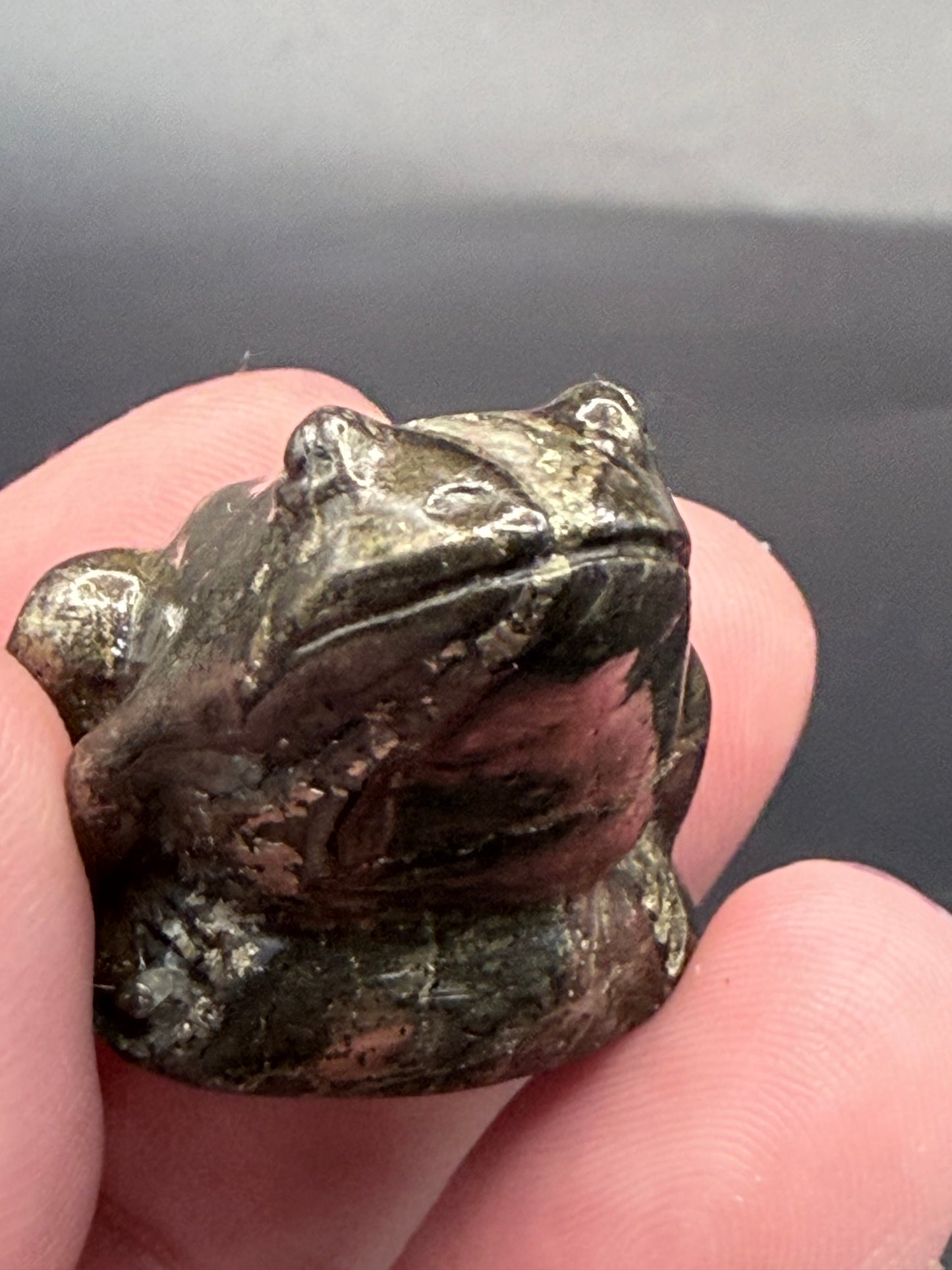 Pyrite Frog