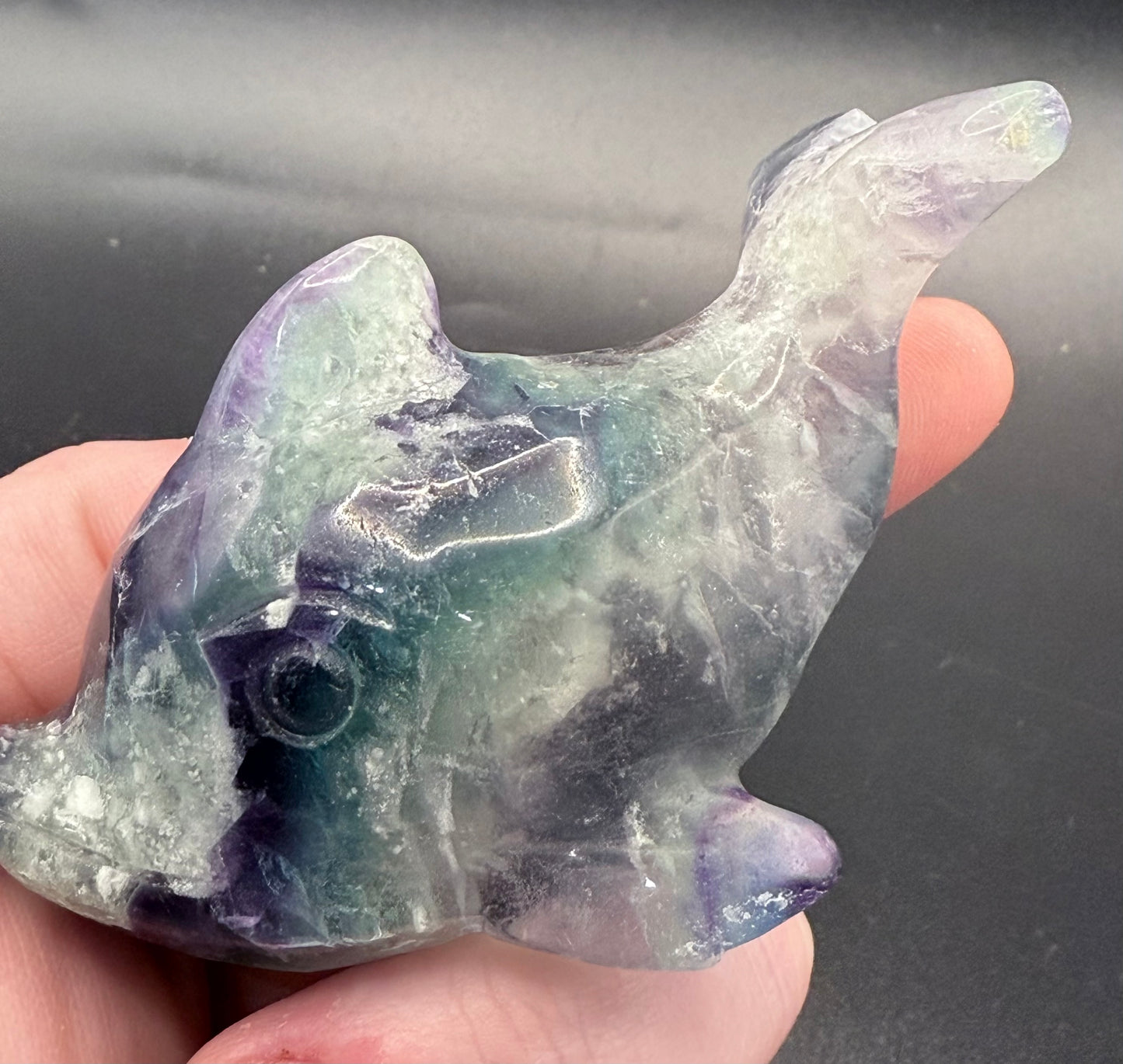 Rainbow Fluorite Dolphin Carving ā 172g | 8.6 x 4.7cm
