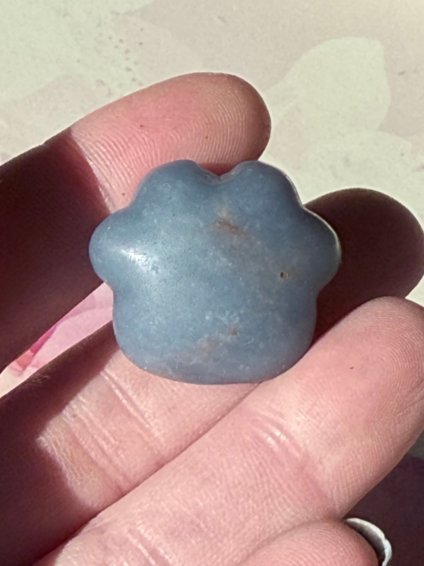 Mini Animal Paws