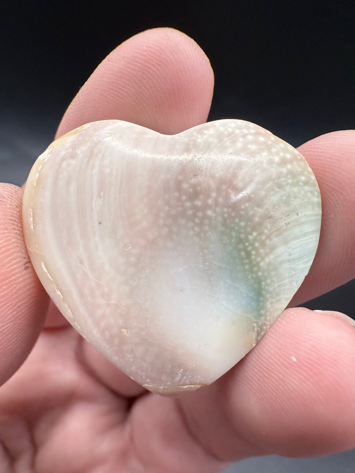 Shiva Eye Heart