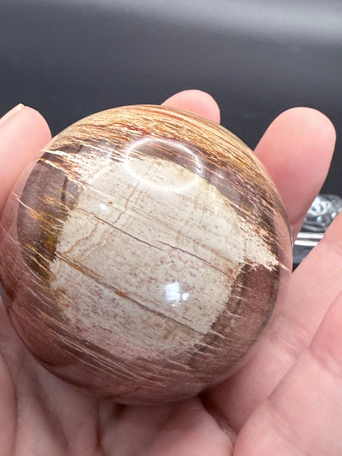 Petrified Wood Sphere