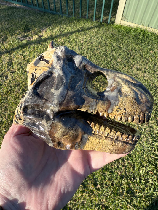 Picture Jasper Dino Skull